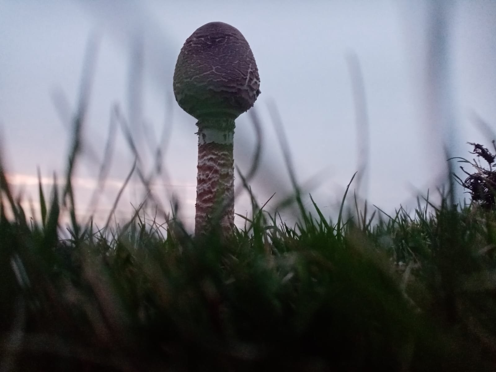 WhatsApp Image 2026-01-29 at 20.53.21.jpeg