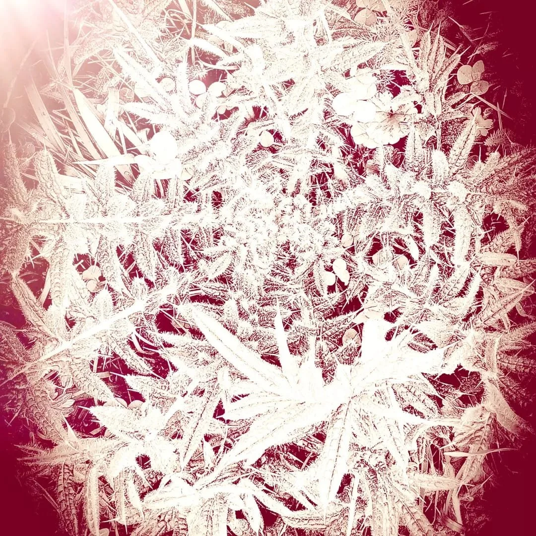 WhatsApp Image 2026-01-29 at 20.53.14.jpeg