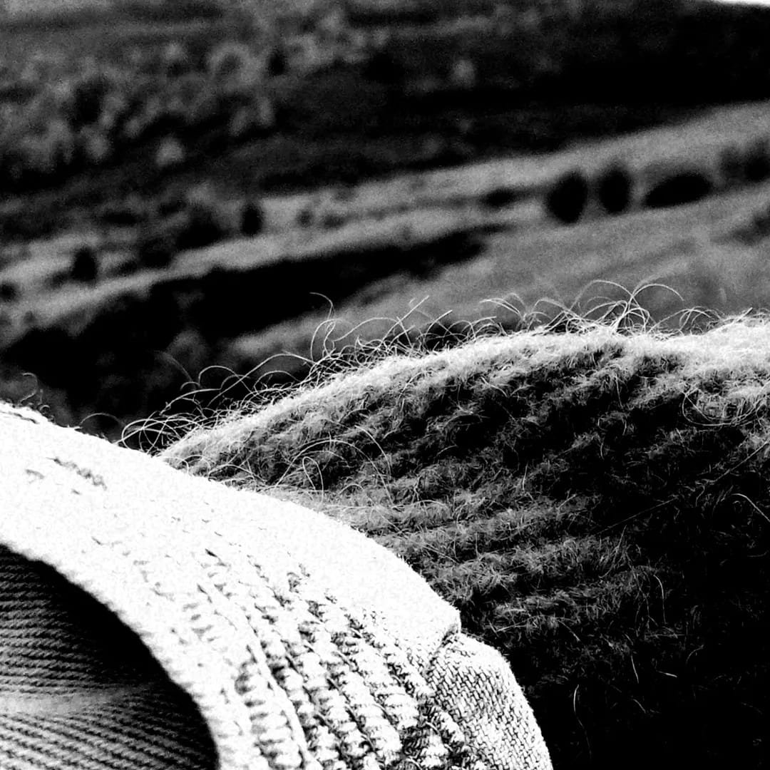 WhatsApp Image 2026-01-29 at 20.53.13 (1).jpeg