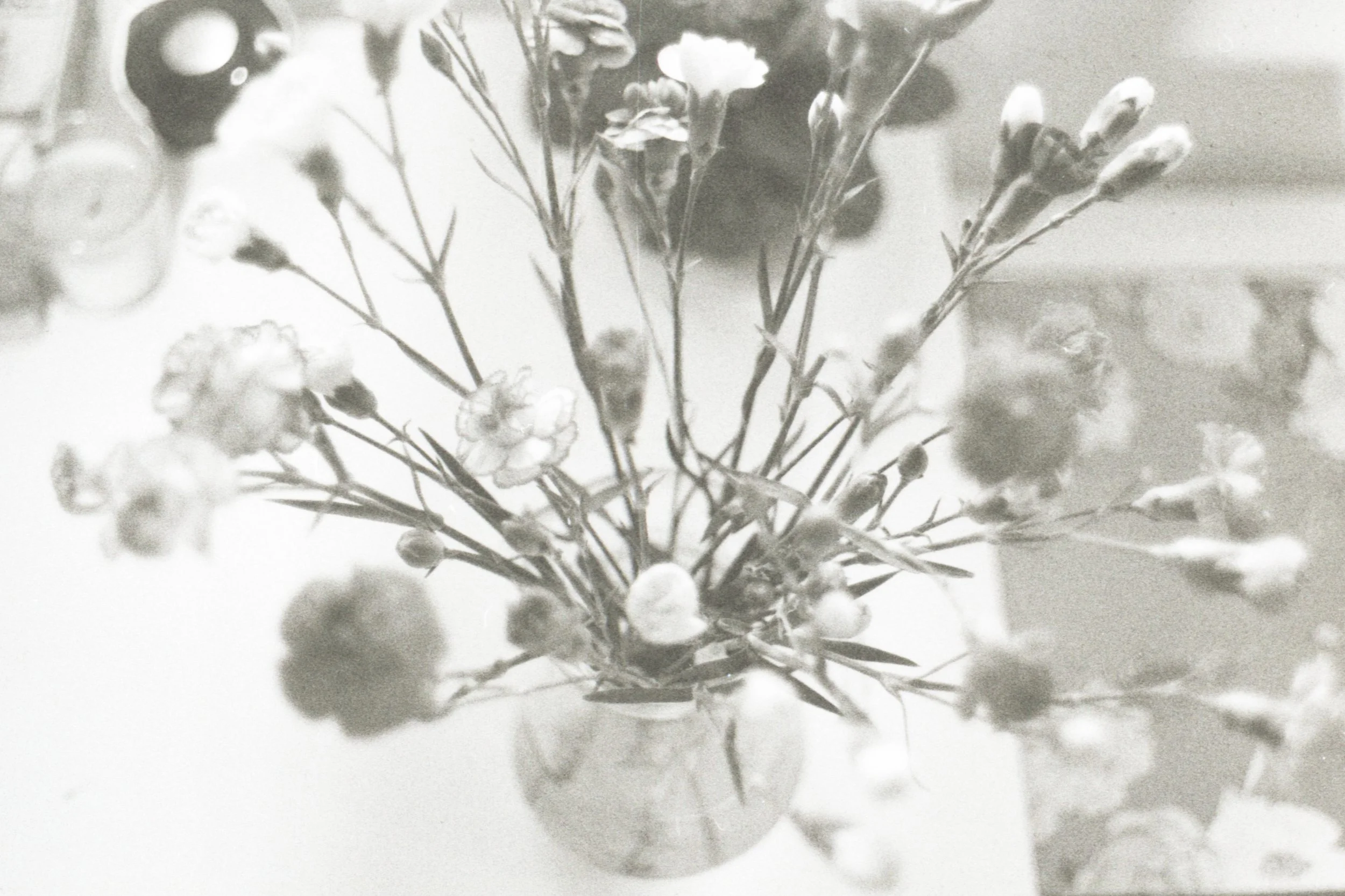 scan2344.jpg