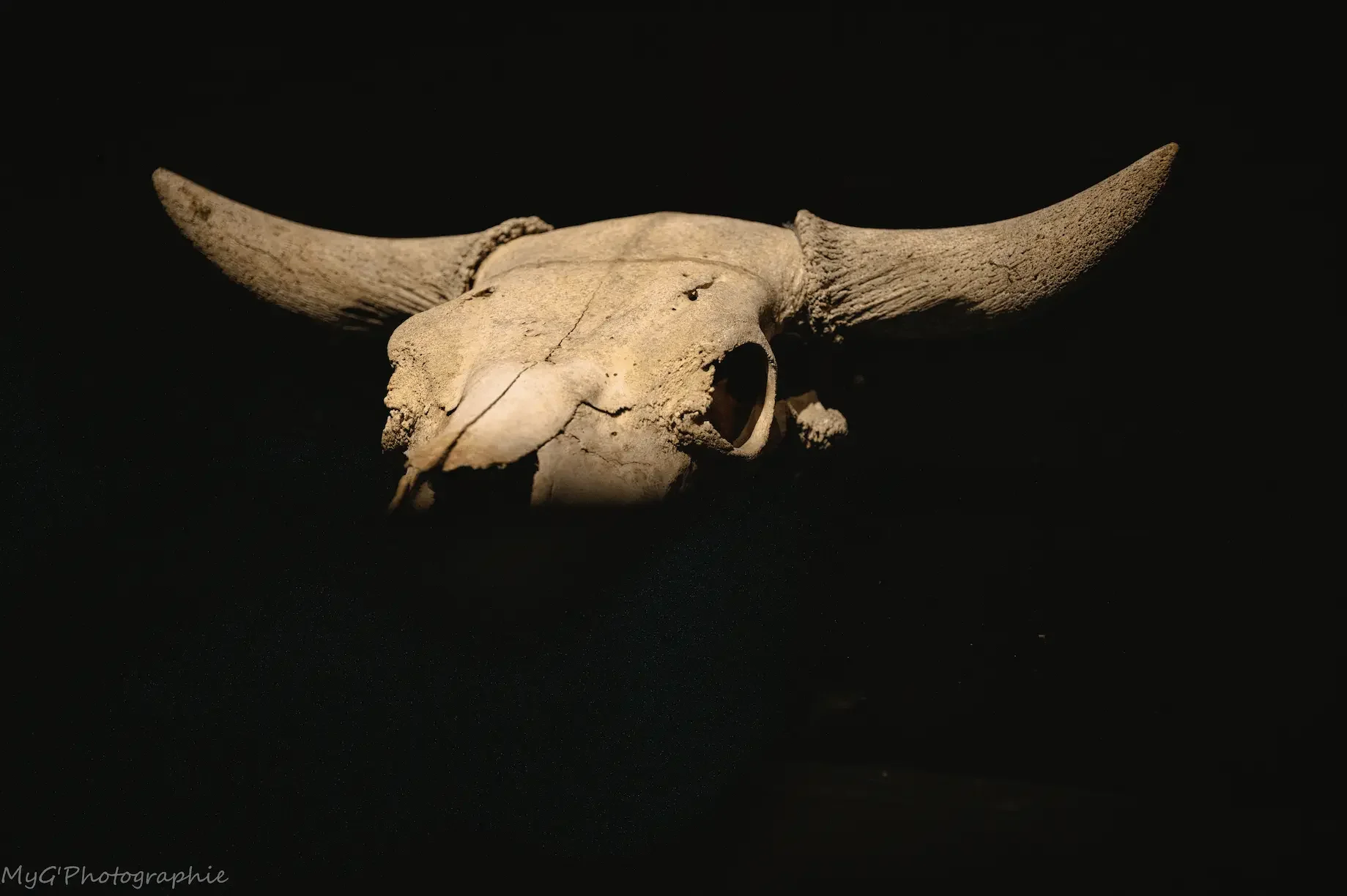 HAMLET, W. Shakespeare