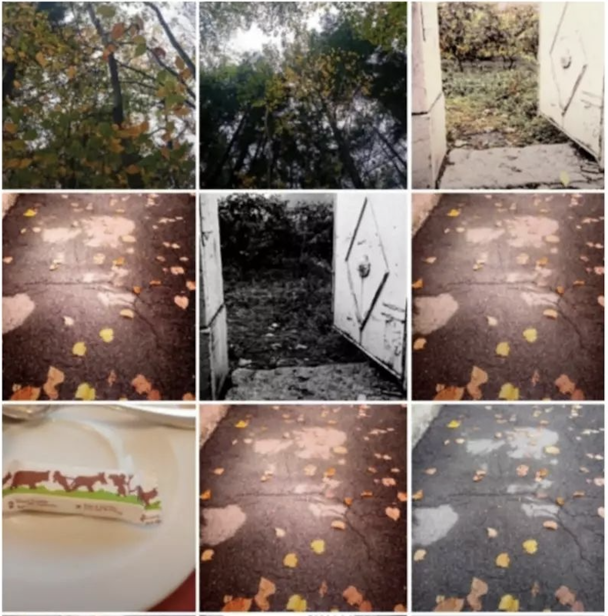 Capture d’écran 2026-01-30 à 12.31.39.png