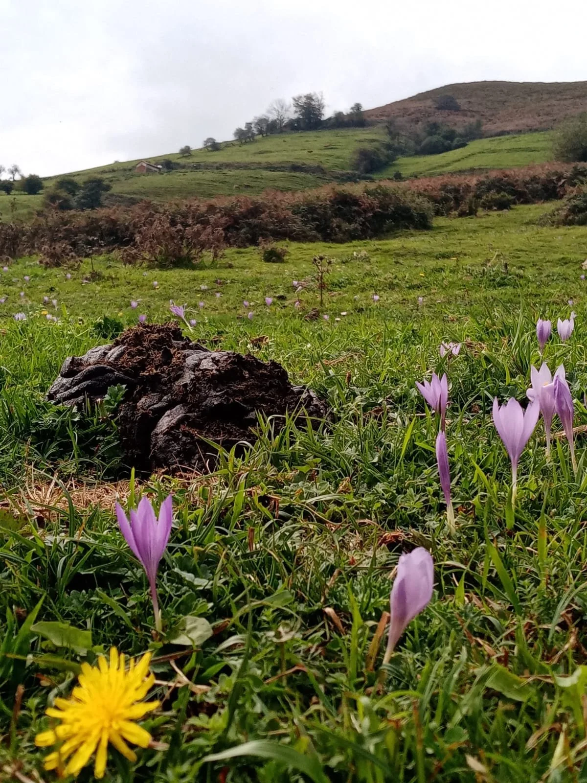 WhatsApp Image 2026-01-29 at 20.53.19 (3).jpeg