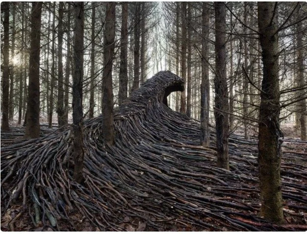 wood, waves and energy