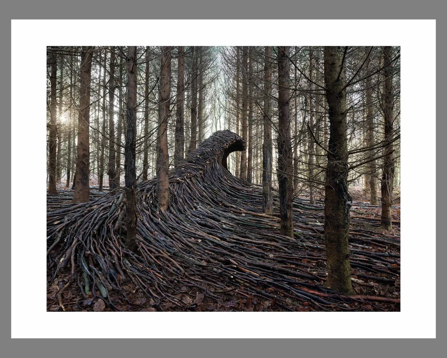 C19/18 wave nr.5, print