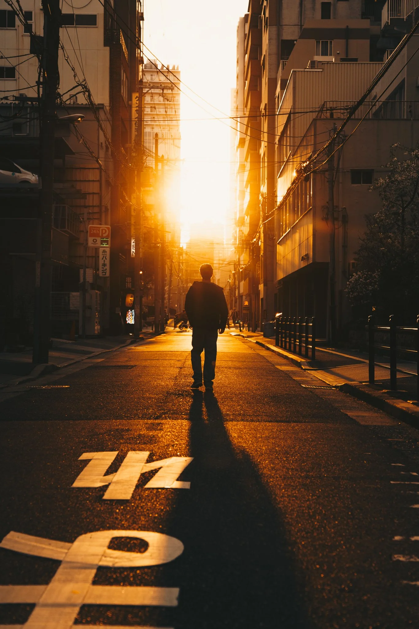 A person walking down an urban street during sunset, with tall buildings on either side and power lines overhead.