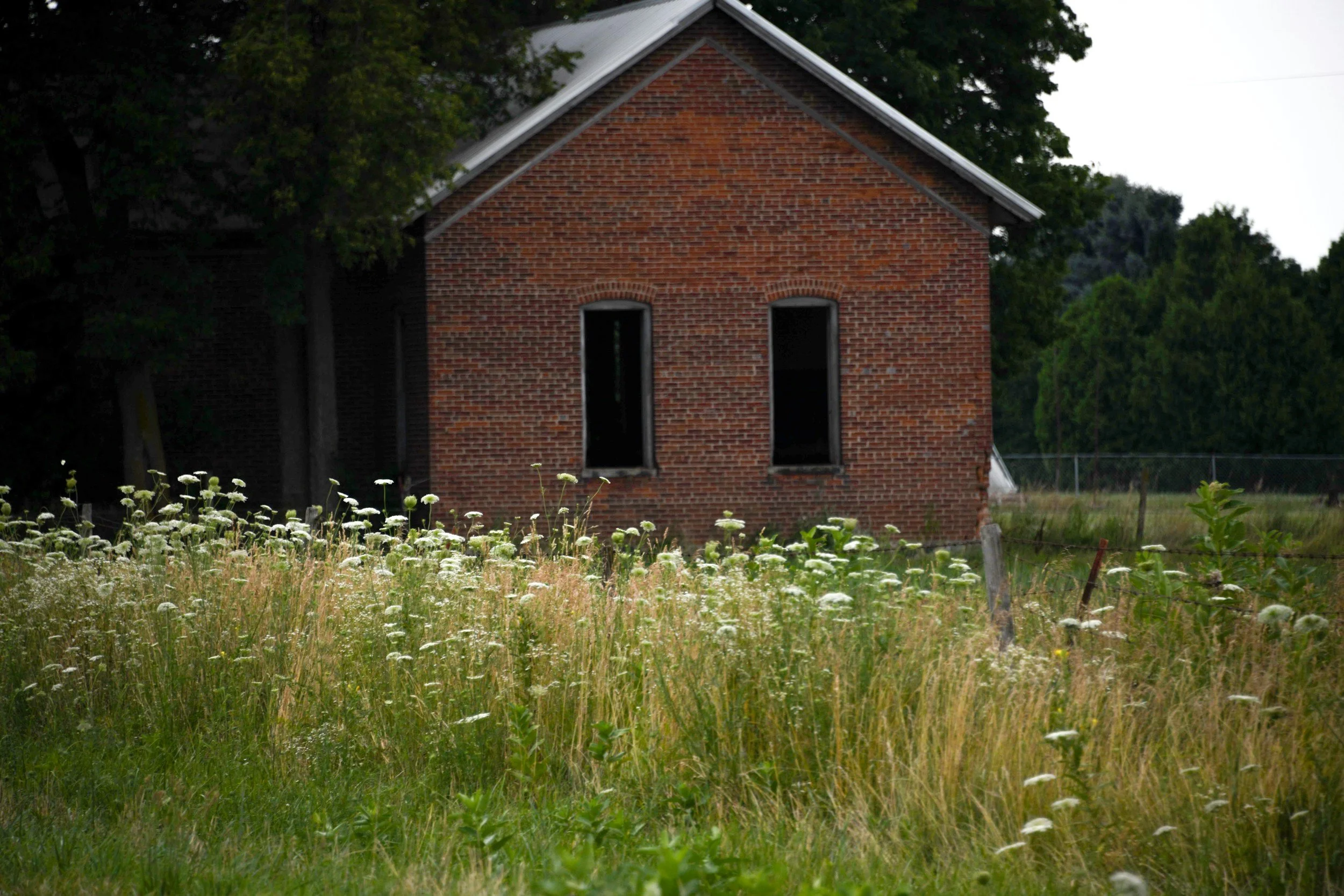 An old, abandoned brick building with two tall, narrow windows, surrounded by a grassy field with white wildflowers. There are trees and a chain-link fence in the background, and the sky is overcast.
