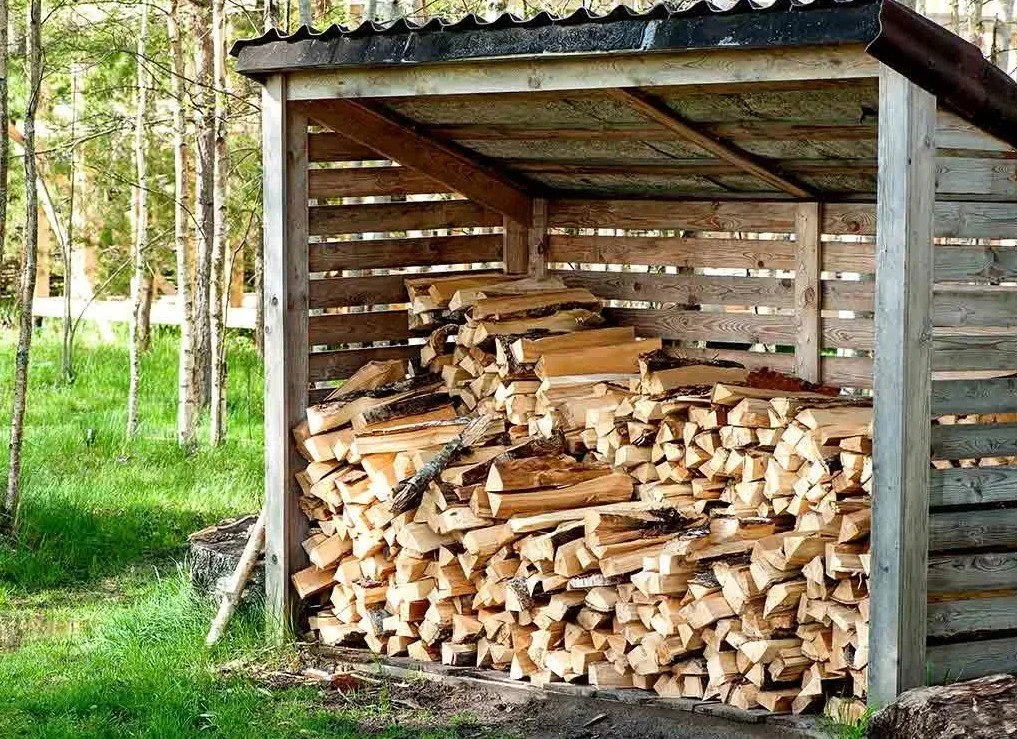Stacked firewood stored in a wooden shelter on a grassy area with trees in the background.