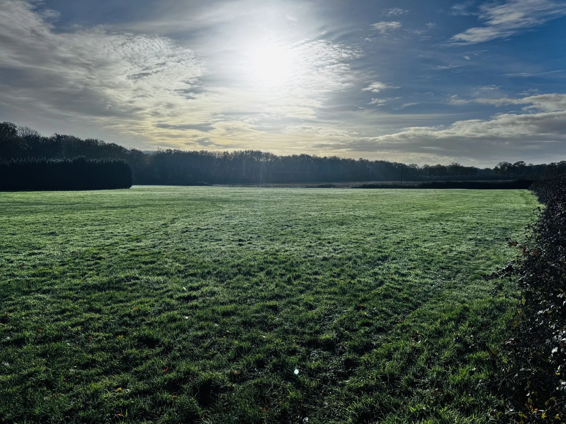 Near Wild Field View 2.jfif