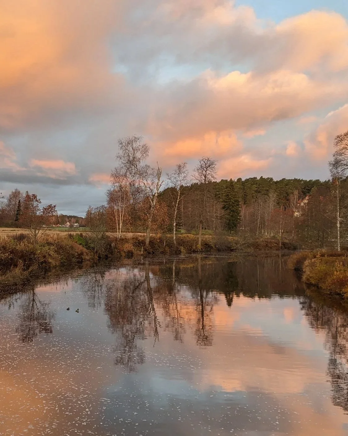 A peaceful river scene at sunset with trees along the riverbank, some with autumn leaves, and a colorful sky with clouds reflected in the water.