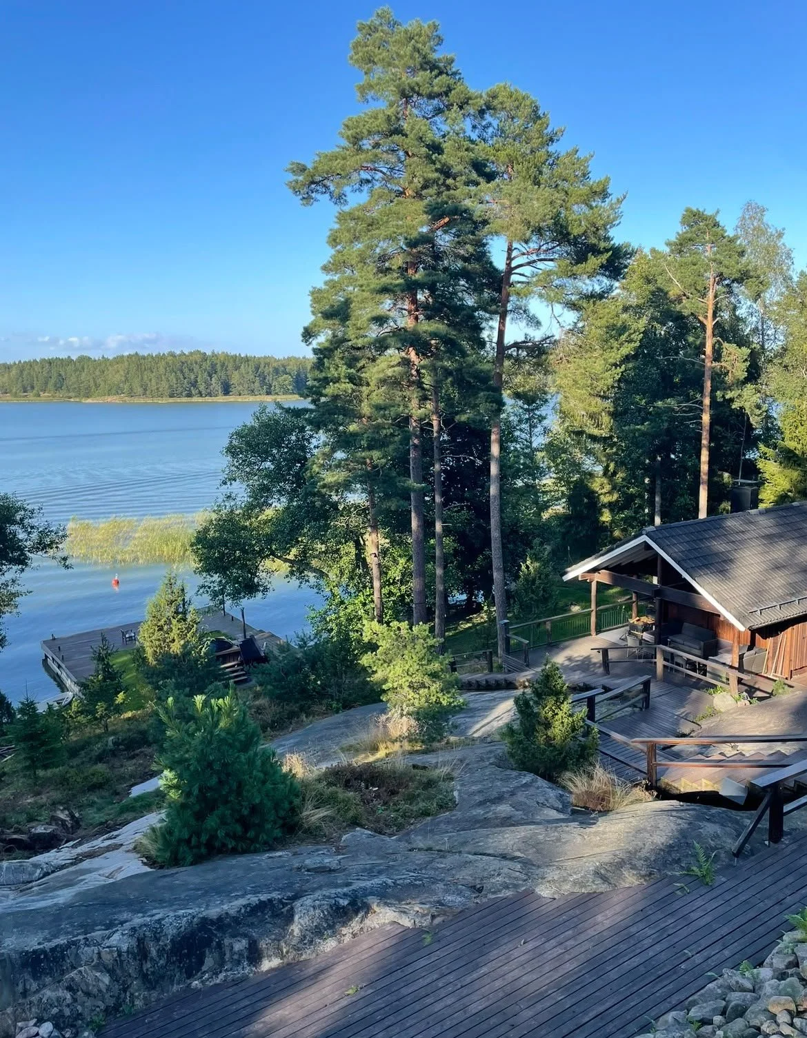 A lakeside scene with tall pine trees, a wooden cabin with a deck, and a dock extending into the calm water, surrounded by greenery under a bright blue sky.