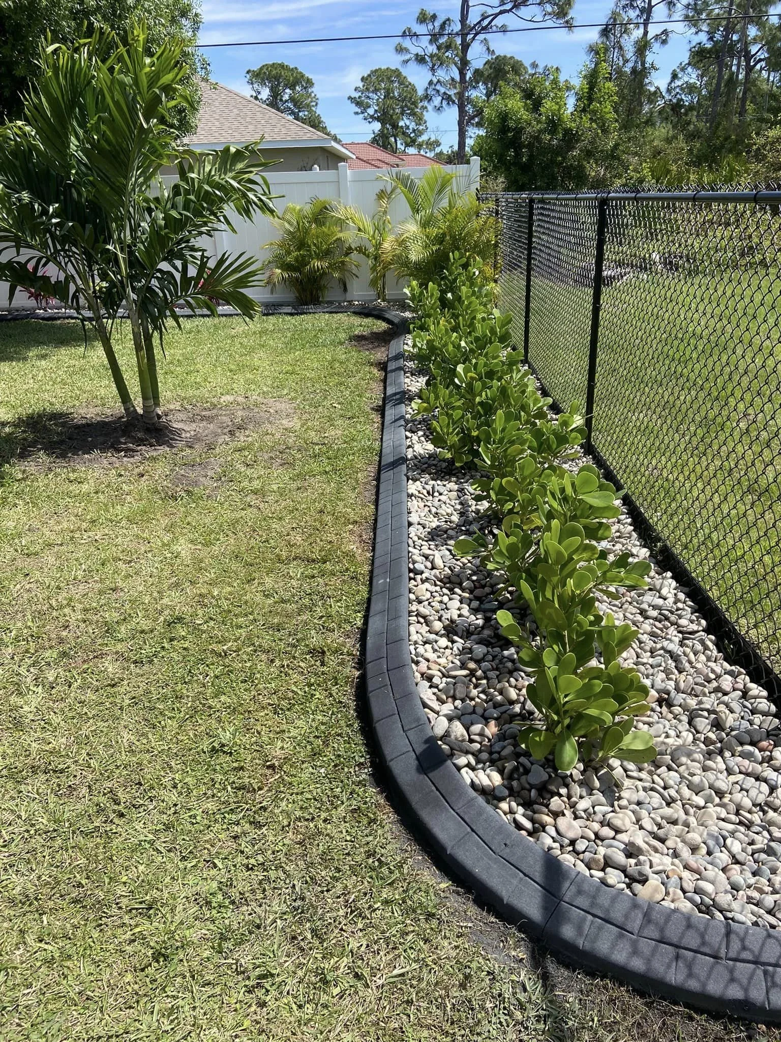 Backyard concrete curbing, rock, and clusias installed.