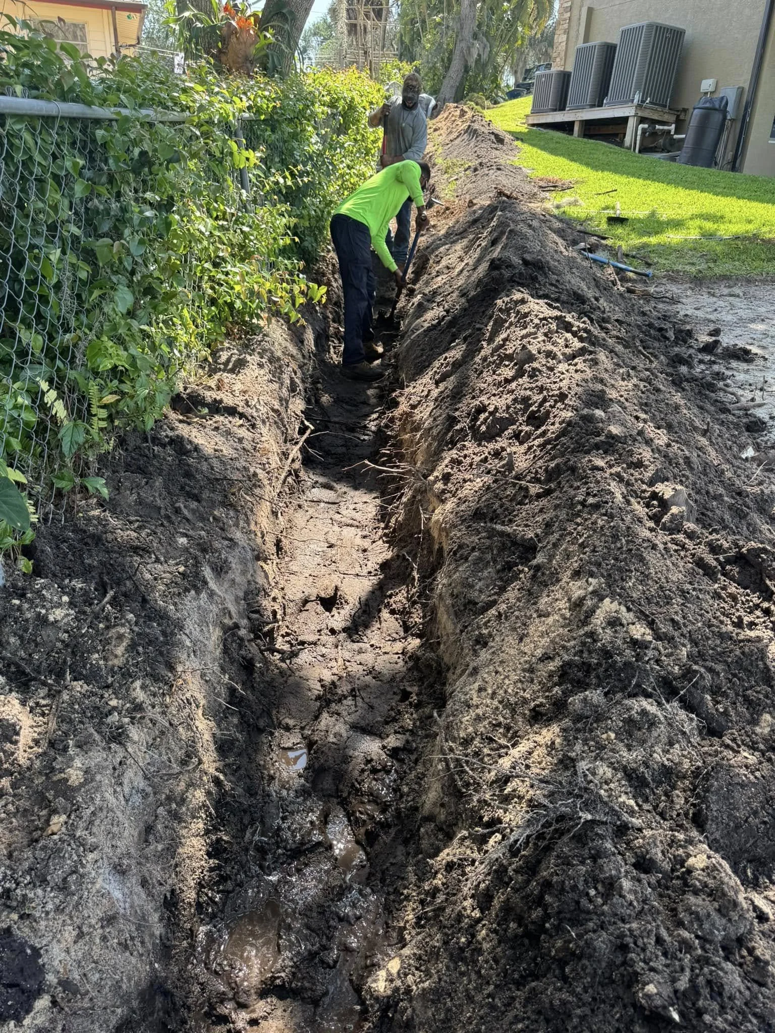 Preparing the ground to install bamboo trees.