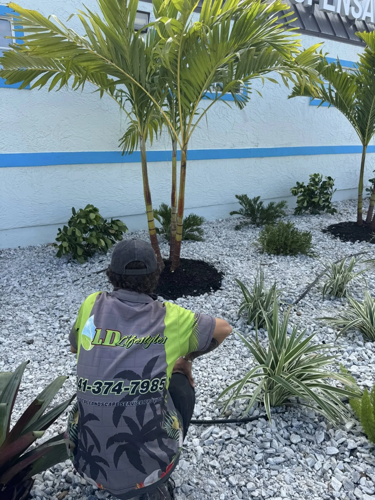 LD Lifestyles team member admiring finished work at a commercial property in Port Charlotte, FL.
