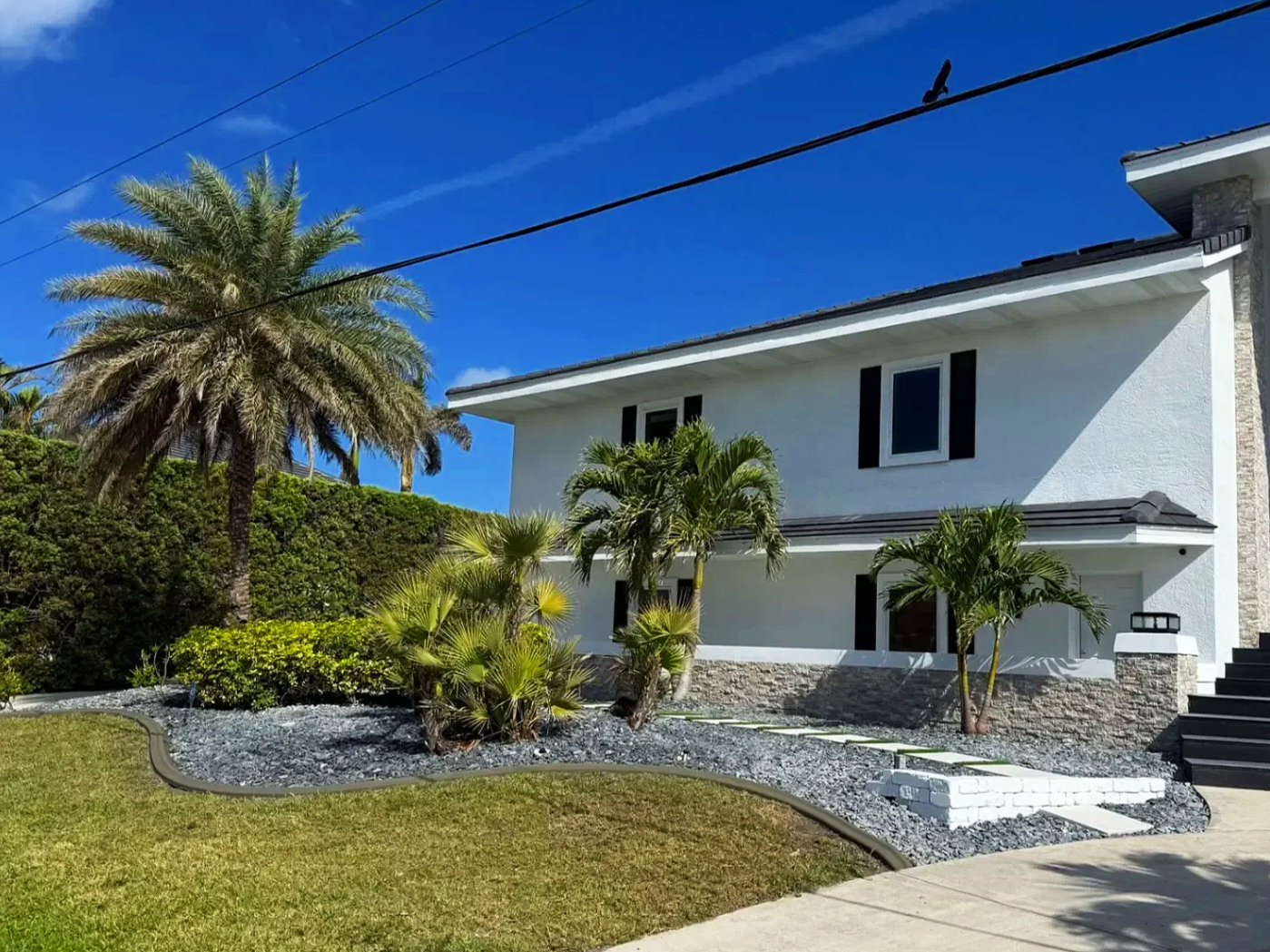 Front yard view of a white house with black shutters, surrounded by palm trees, green bushes, and a grassy lawn, under a clear blue sky.