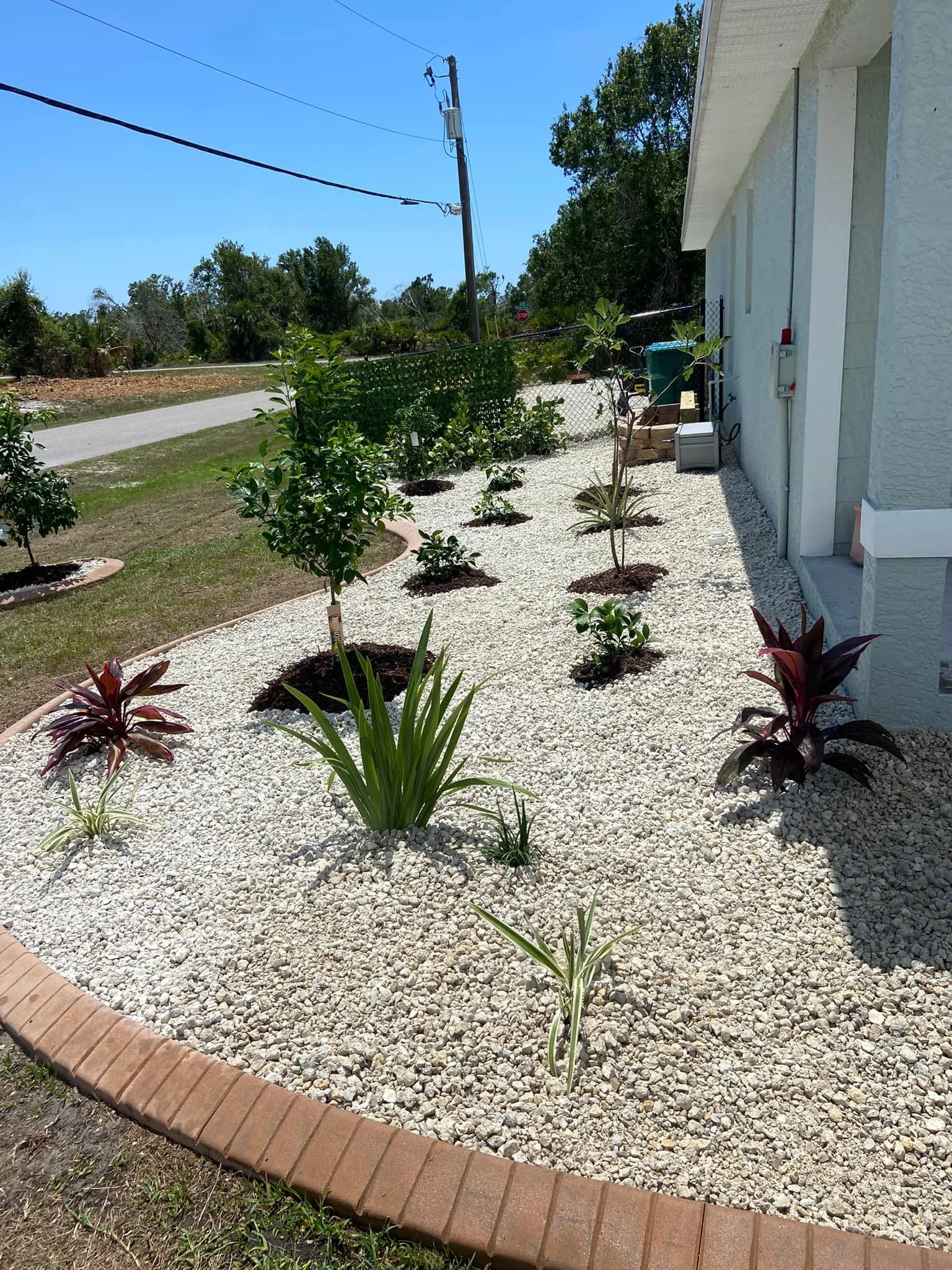 Finished landscape project by LD Lifestyles in Port Charlotte Florida of edible trees, plants, rocks and concrete curbing.