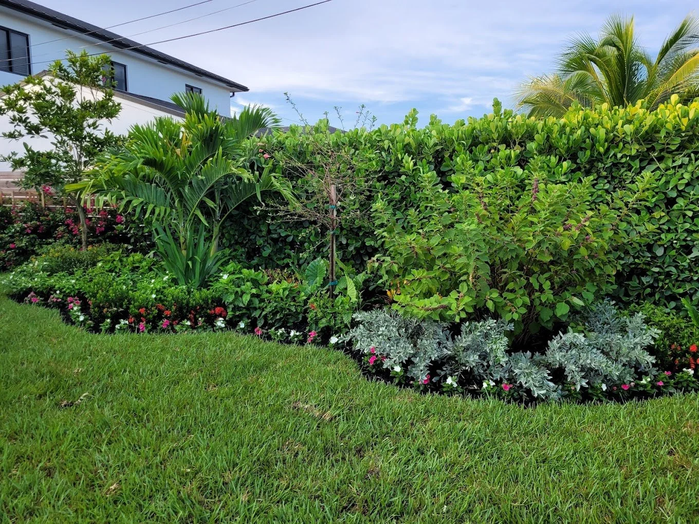 Tropical landscape design for home in Port Charlotte, FL.