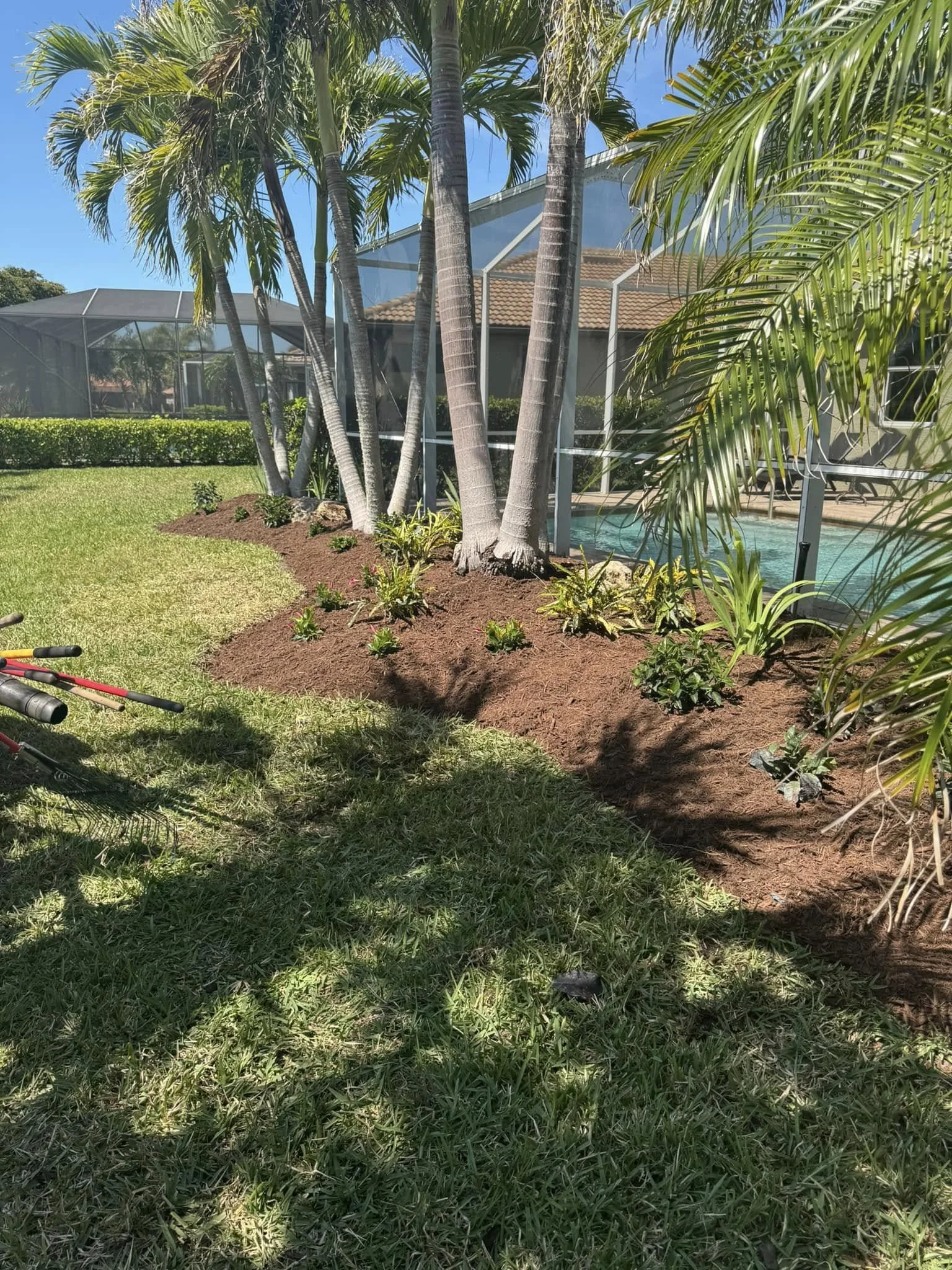 Landscape refresh with new plants and mulch in Southwest Florida.