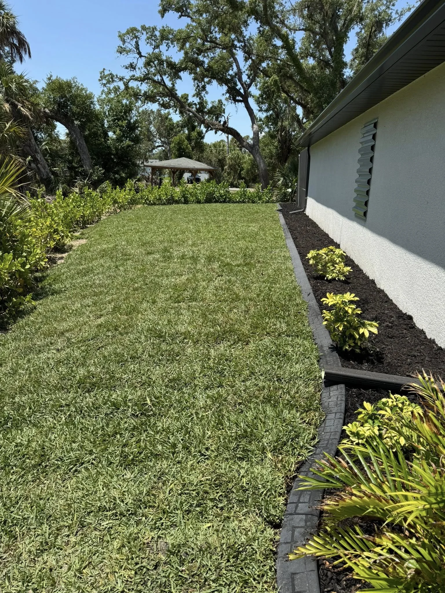 New sod lawn installed at residential property in Port Charlotte Florida by LD Lifestyles.