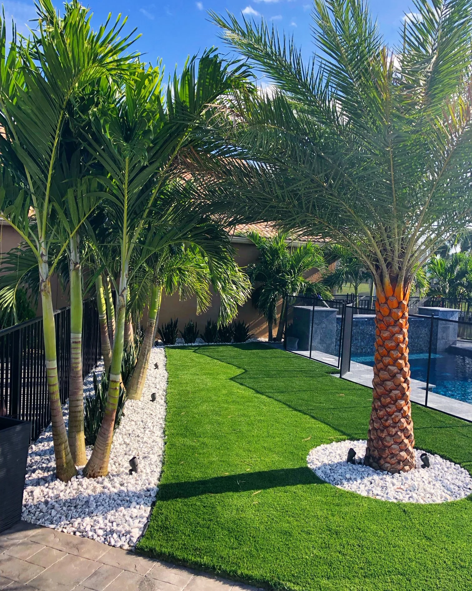 Backyard landscape with rocks, palm trees, and plants in Boca Grande, FL.