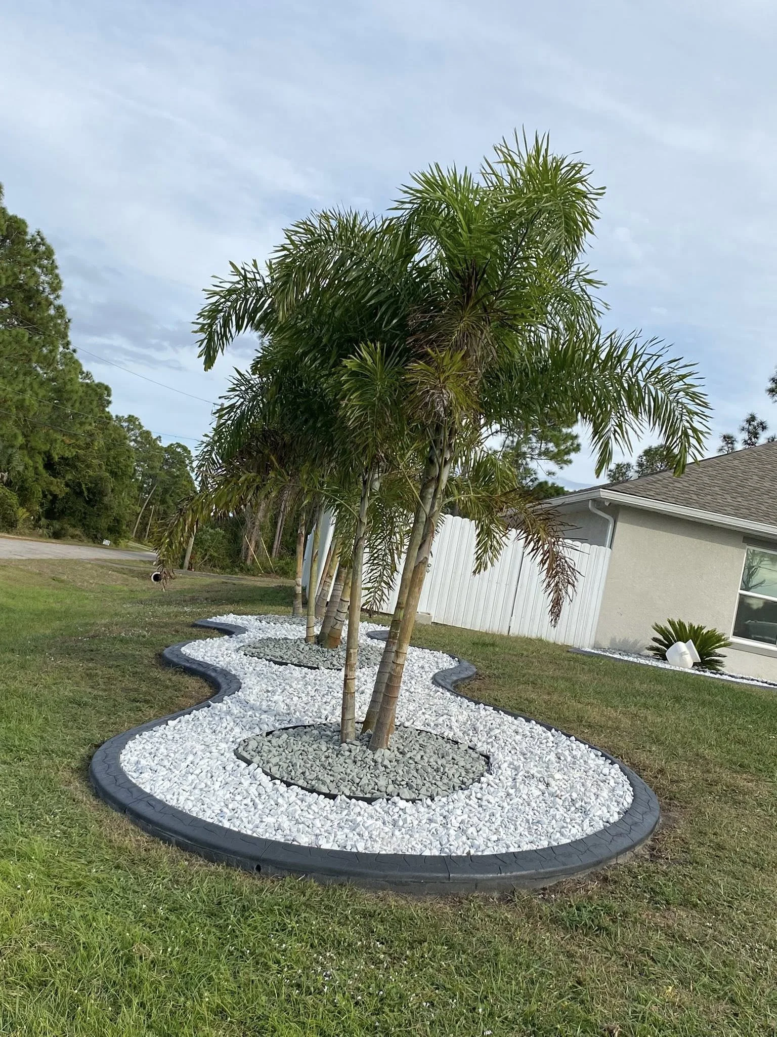 Landscaped yard with a curved border, white gravel, small grey stones, a palm tree, and a house with white fence in the background.