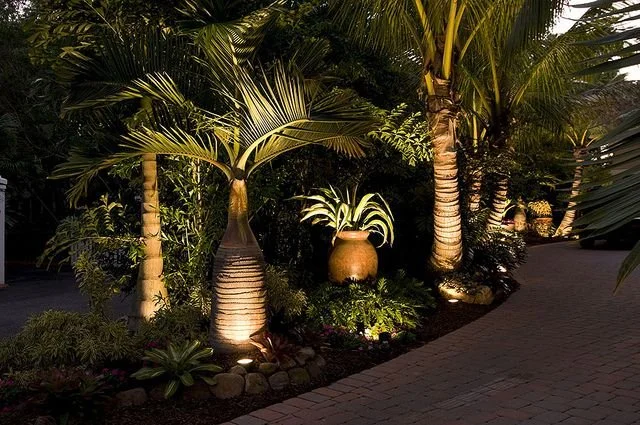 Palm trees and low voltage lighting installed in Punta Gorda, FL.