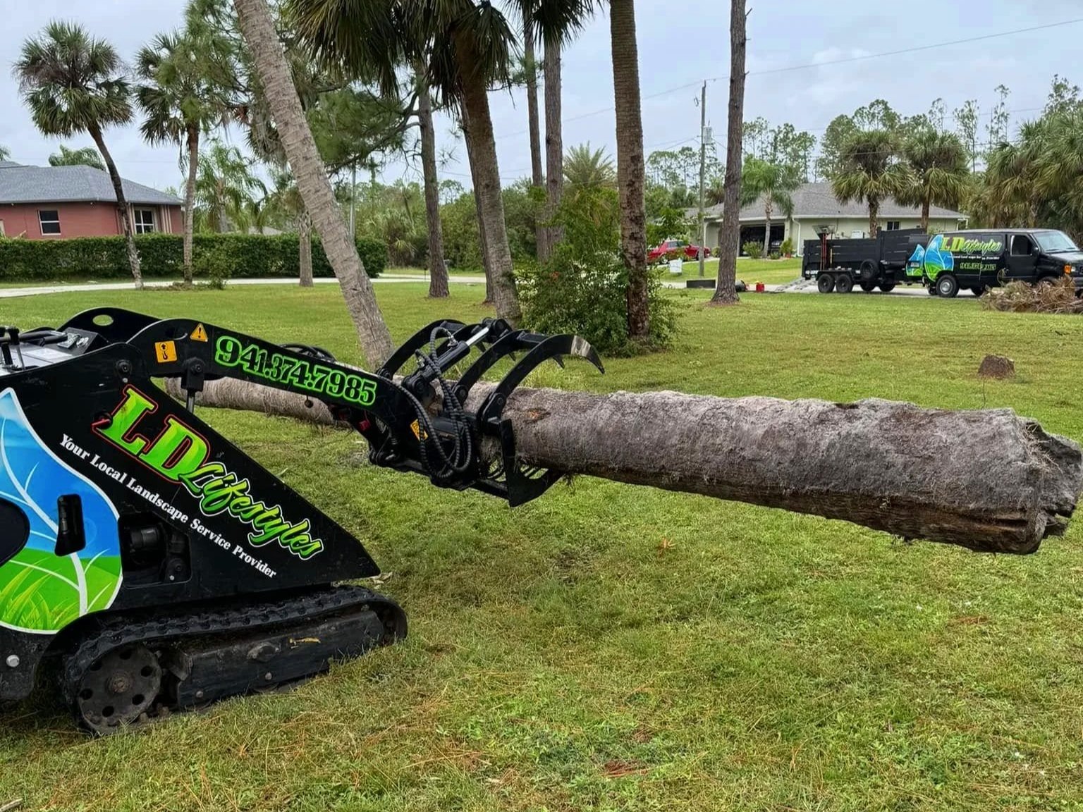 Deceased palm tree removed in North Port, Florida.