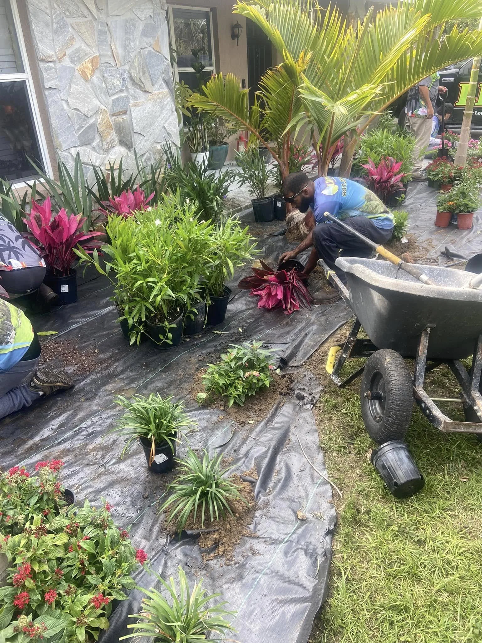 LD Lifestyles team installing plants, palm trees, and preparing the bed for fresh mulch.