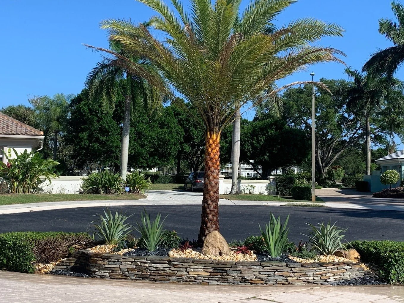 Landscape renovation in Punta Gorda, FL.