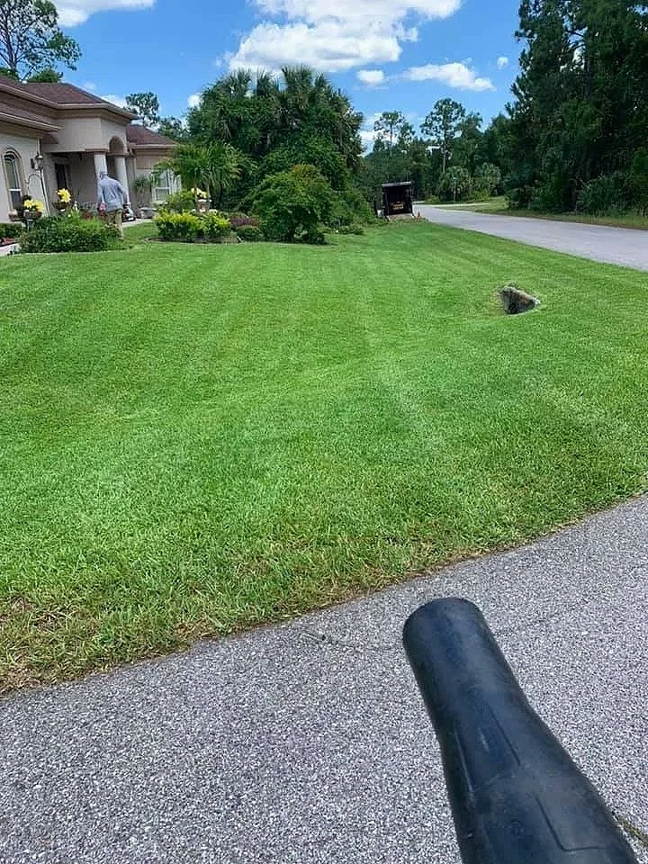 Freshly mowed lawn in Port Charlotte Florida by LD Lifestyles.