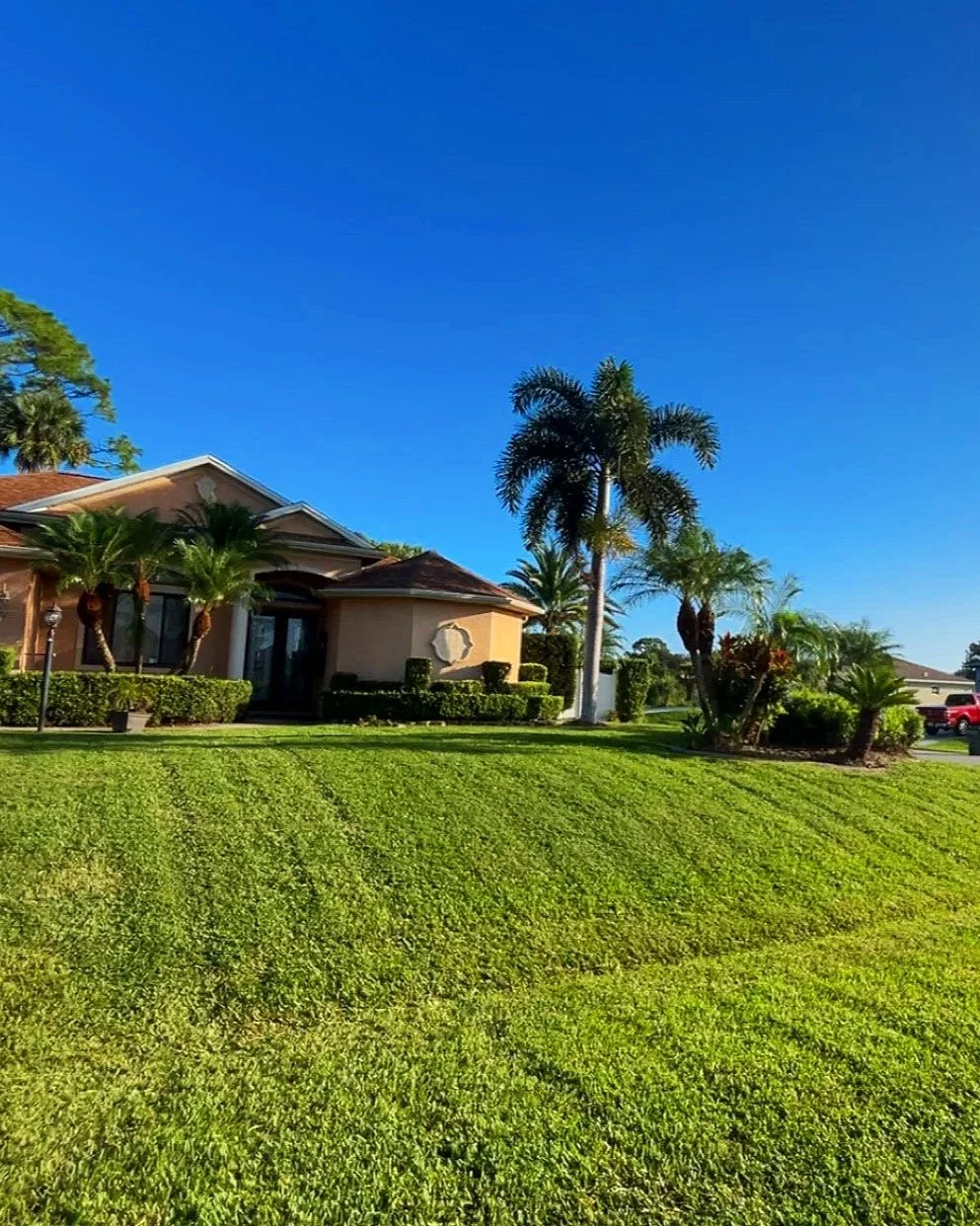 Freshly cut grass in Port Charlotte Florida by LD Lifestyles.