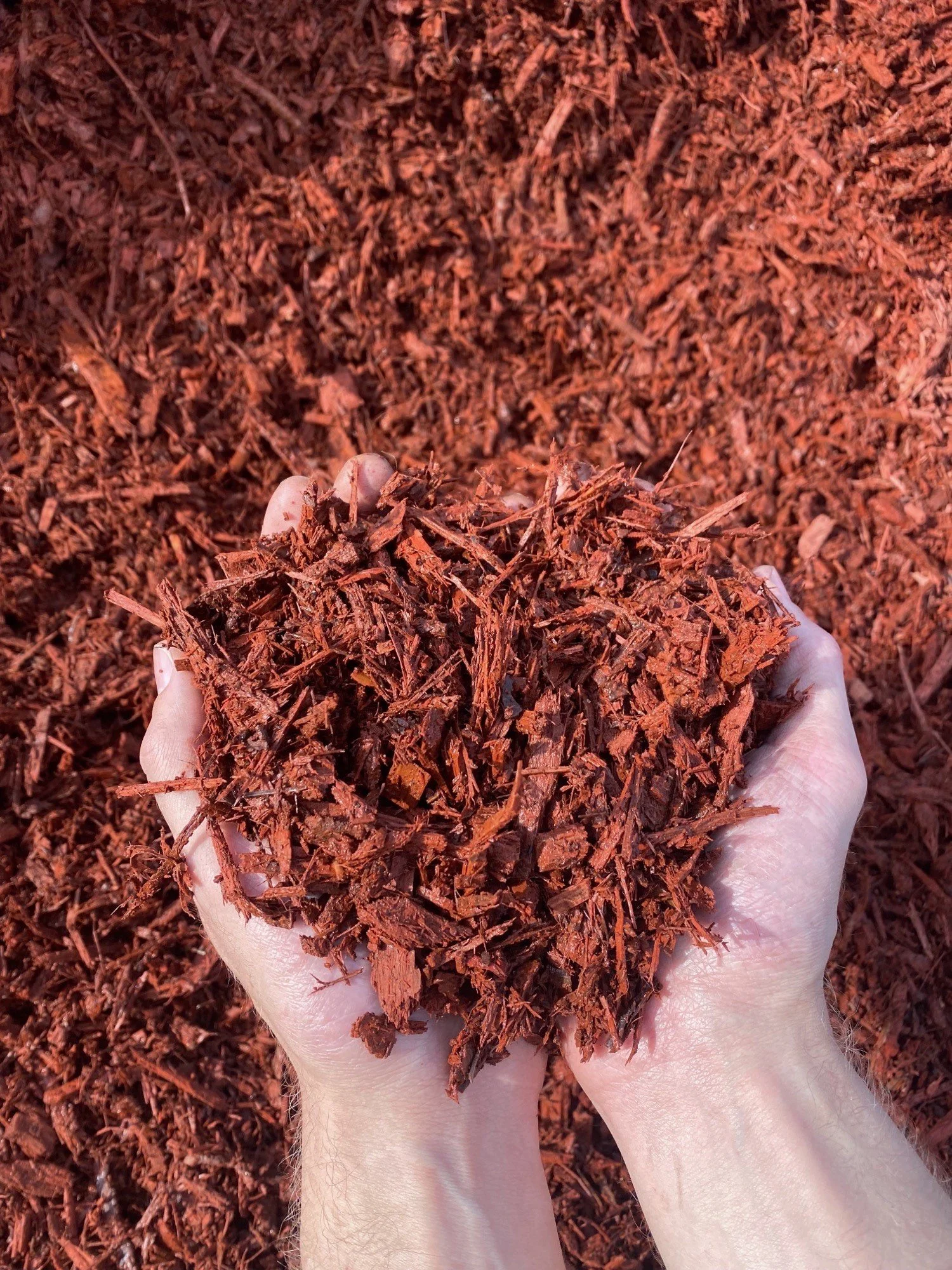 Red mulch installation