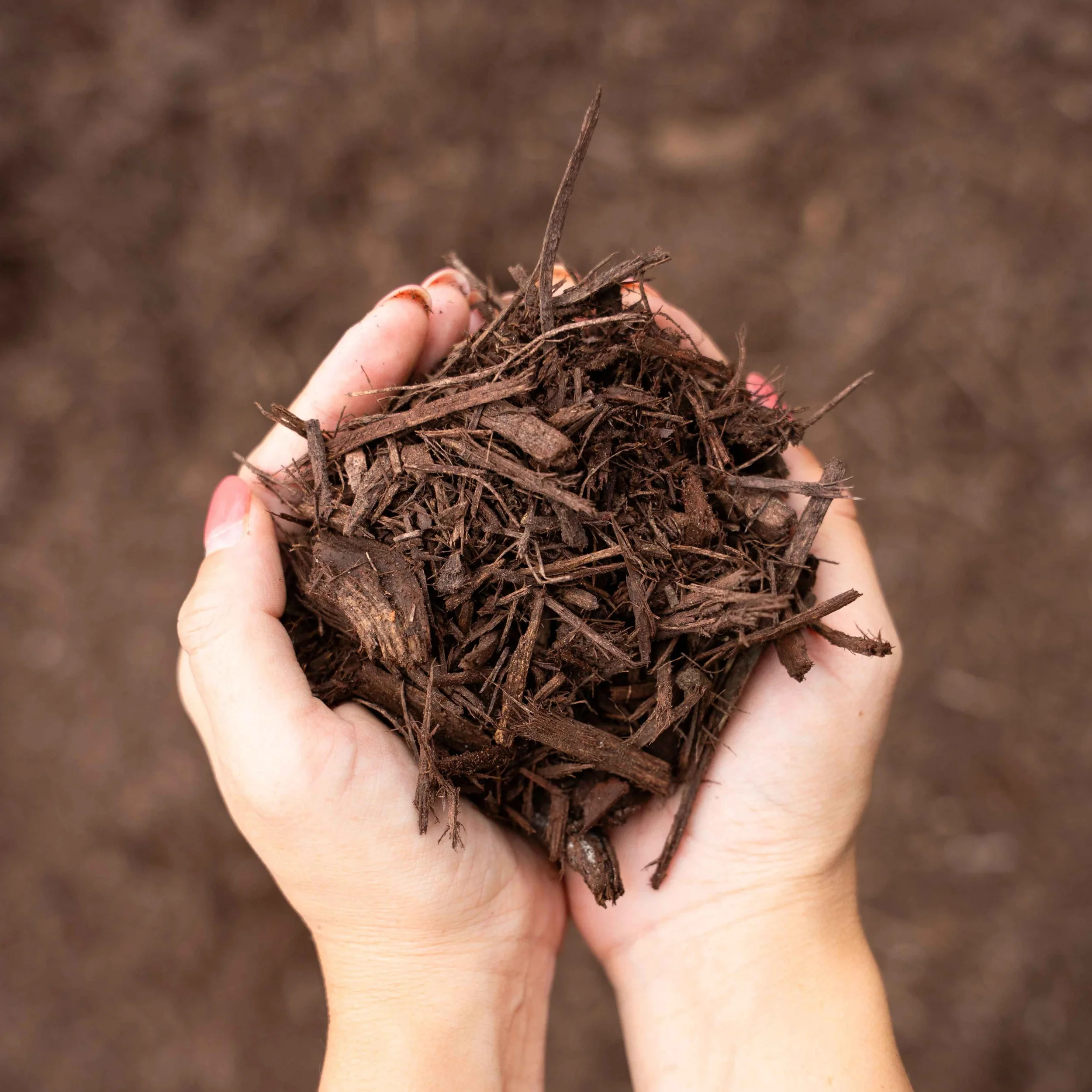 Brown mulch installation