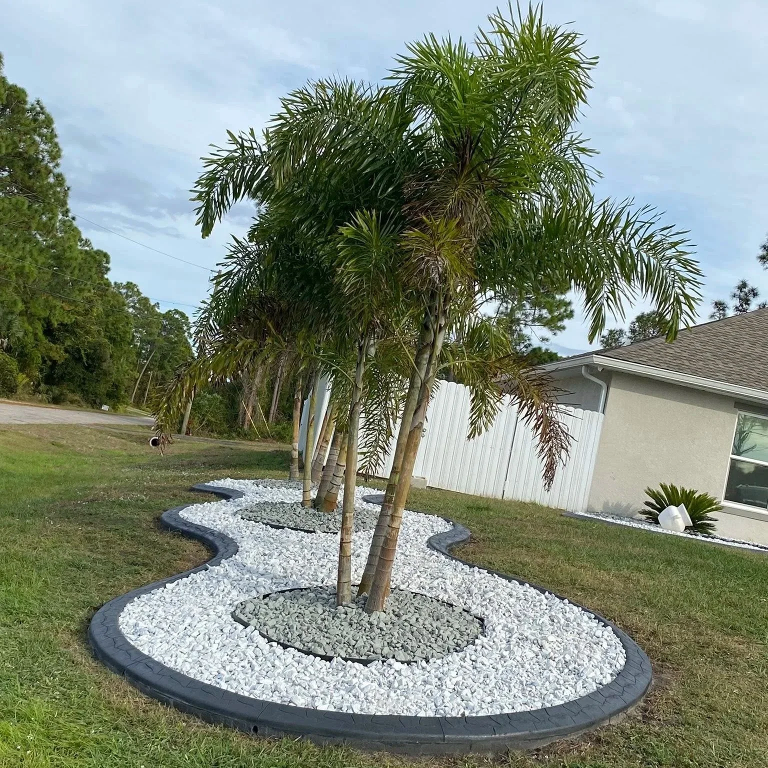 Concrete curbing, rocks, and palm tree installation in North Port, FL.