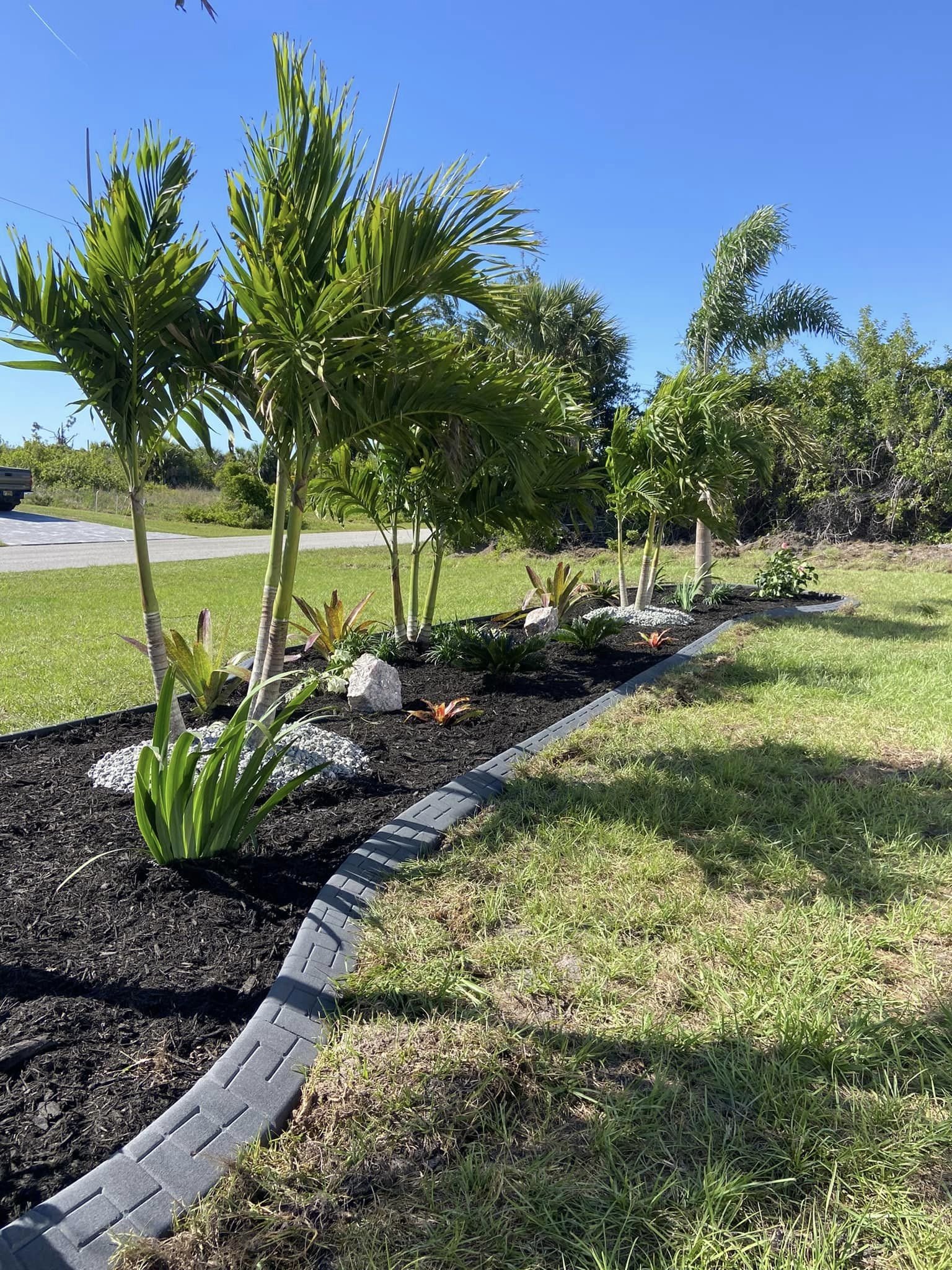 South Gulf Cove property landscaped by LD Lifestyles. Tropical palm trees, low maintenance plants, mulch, and concrete curbing.
