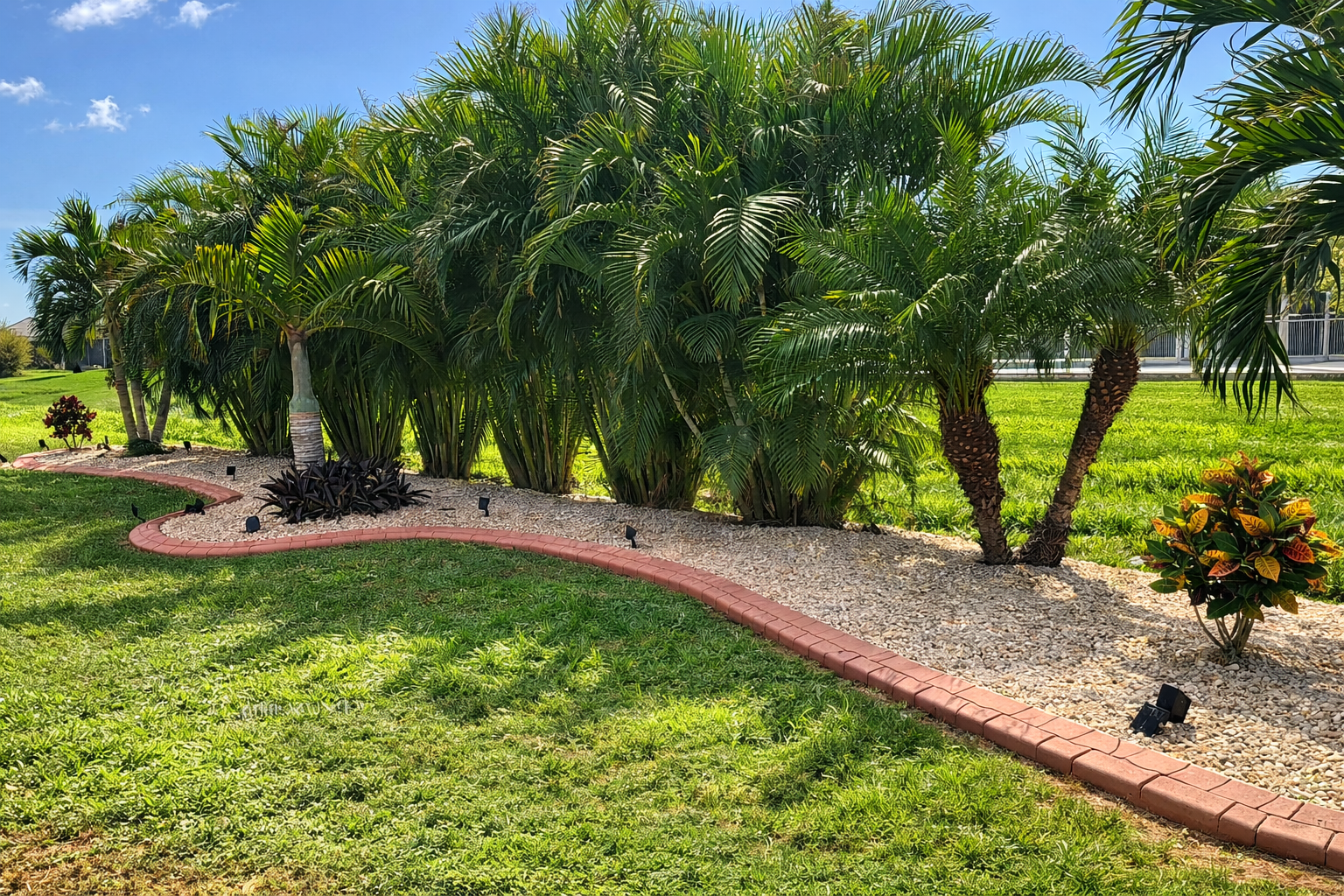 Decorative landscape with lush palm trees, small plants, and a winding brick border on a grassy area under a bright blue sky.