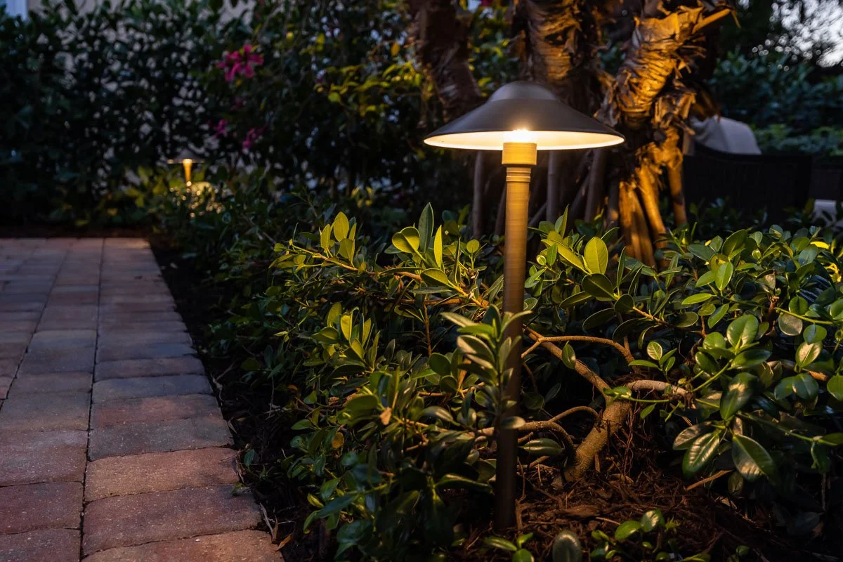 night landscape lights planting bed.jpg