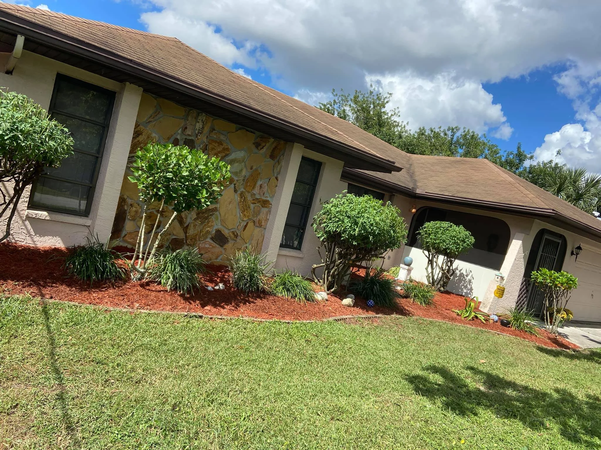 Landscape clean up with fresh red mulch installed for North Port homeowner. 