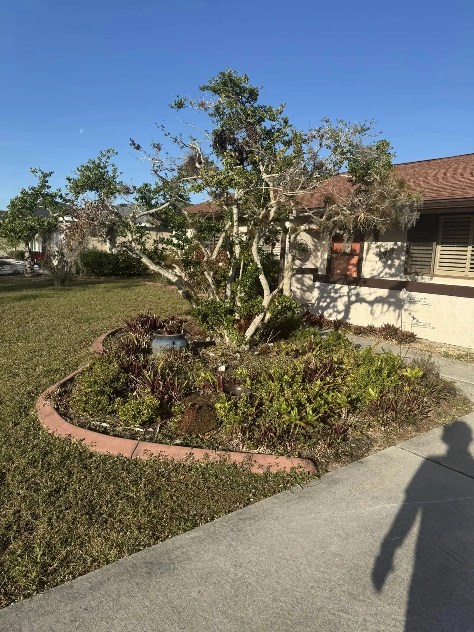 Landscape bed cleanup removing weeds in Port Charlotte Florida