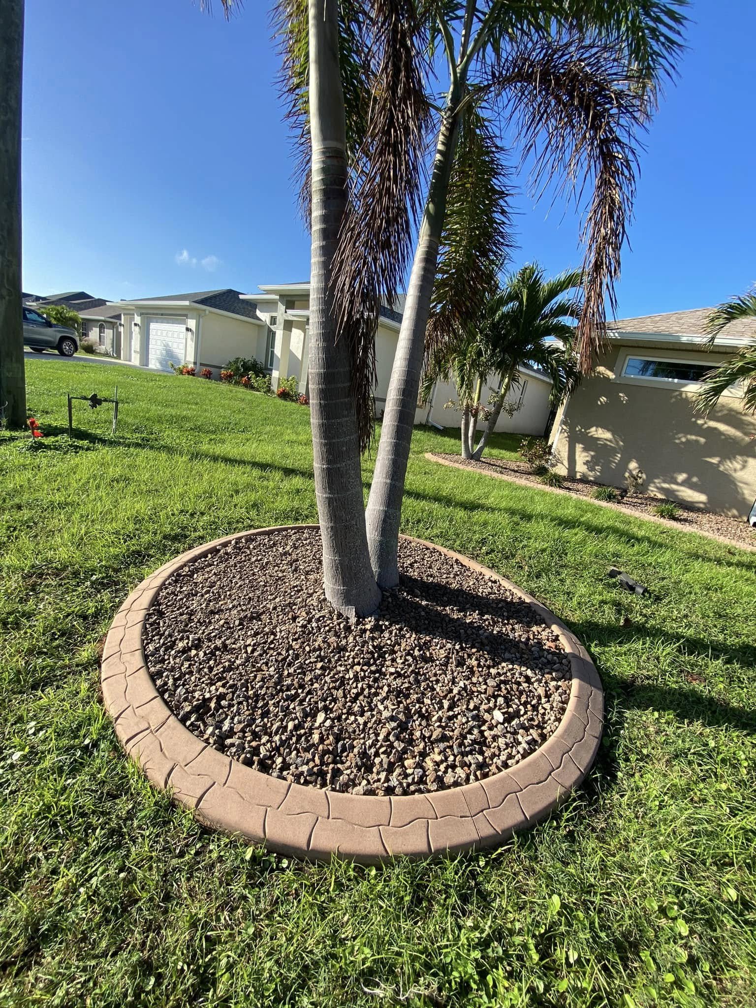 A landscaped yard with a circular brick border surrounding a palm tree, with green grass and houses in the background under a clear blue sky.