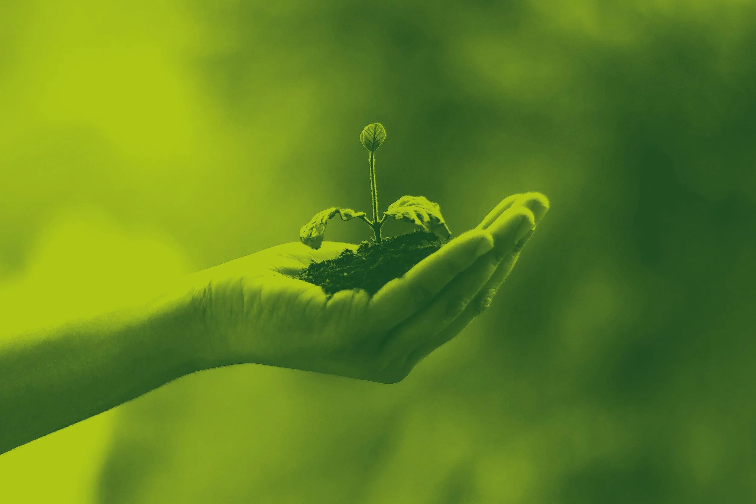 A hand holding a small green sprout plant with soil, symbolizing growth and nurturing.