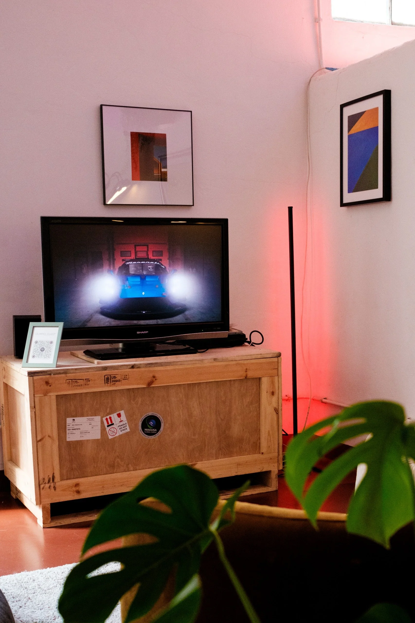Interno con un televisore su un mobile di legno, due quadri astratti alle pareti e una pianta verde in primo piano.