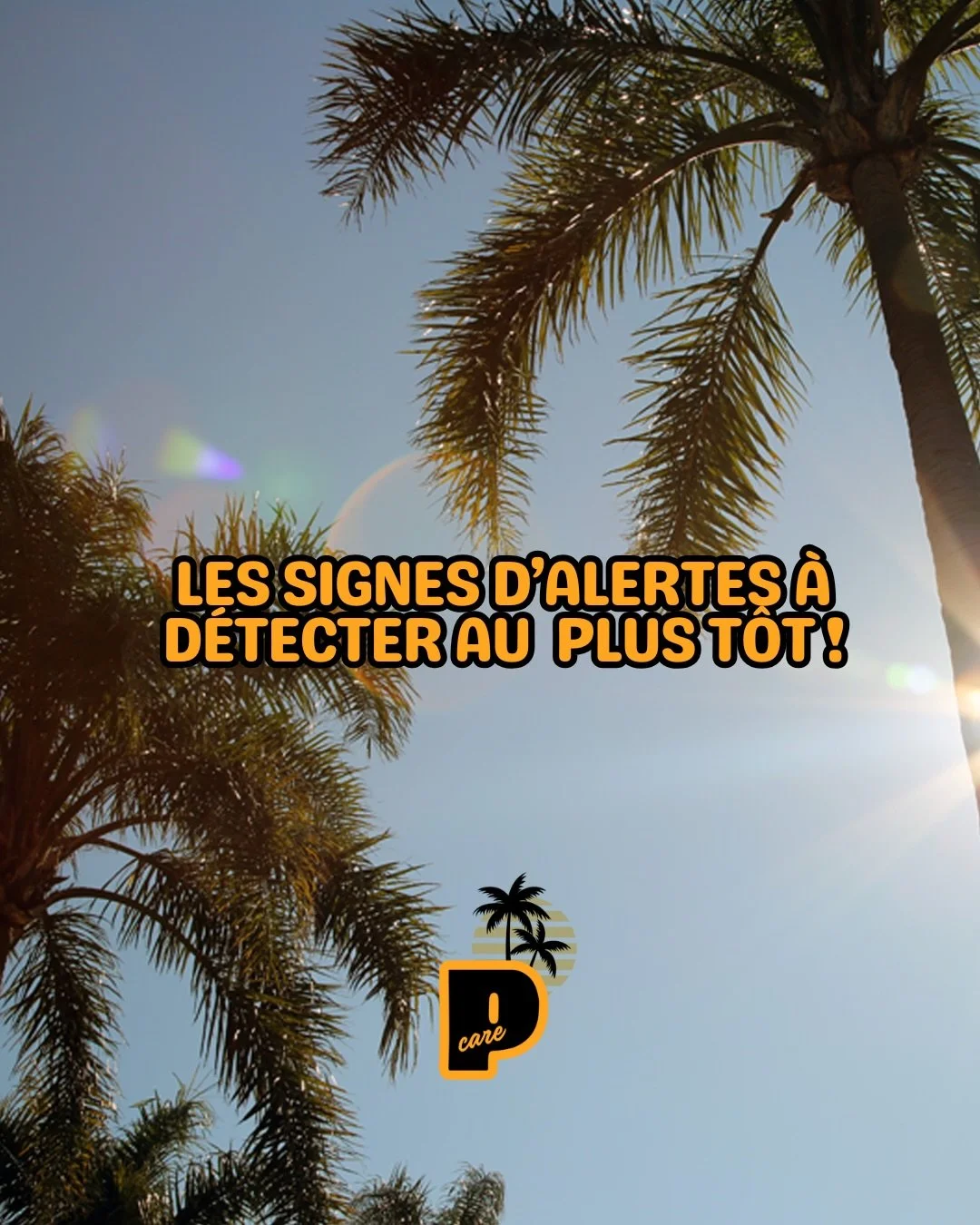 🌴 Ces signes ne trompent pas&hellip; ⚠️

Si ton palmier pr&eacute;sente un ou plusieurs de ces sympt&ocirc;mes,
il est peut-&ecirc;tre d&eacute;j&agrave; attaqu&eacute;.

👉 Plus on agit t&ocirc;t, plus on a de chances de le sauver.

Palmotop prot&e