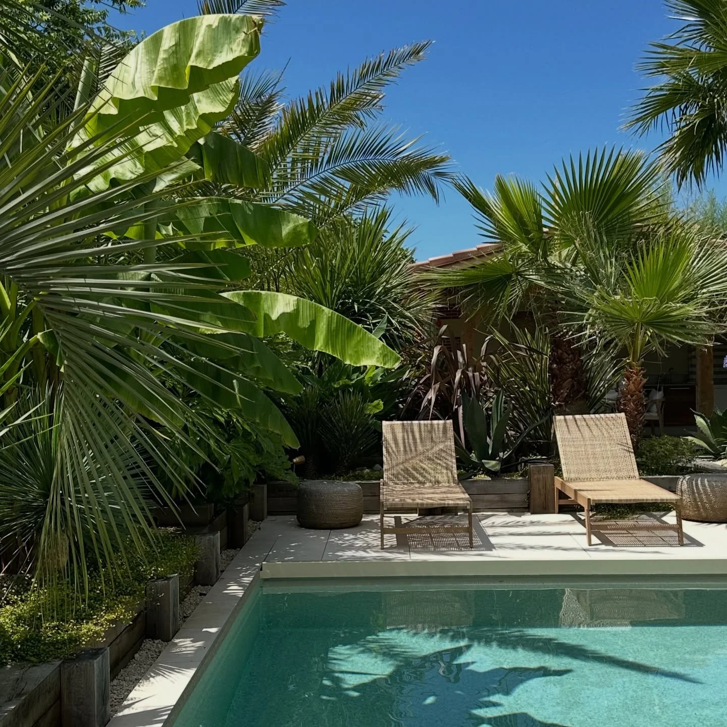 🌴 Vous r&ecirc;vez d&rsquo;un jardin en pleine sant&eacute; ?

D&rsquo;une v&eacute;ritable palmeraie&hellip;
Ou vous avez un beau sp&eacute;cimen au c&oelig;ur de votre jardin et vous souhaitez le prot&eacute;ger durablement ?

👉 Palmotop est l&ag