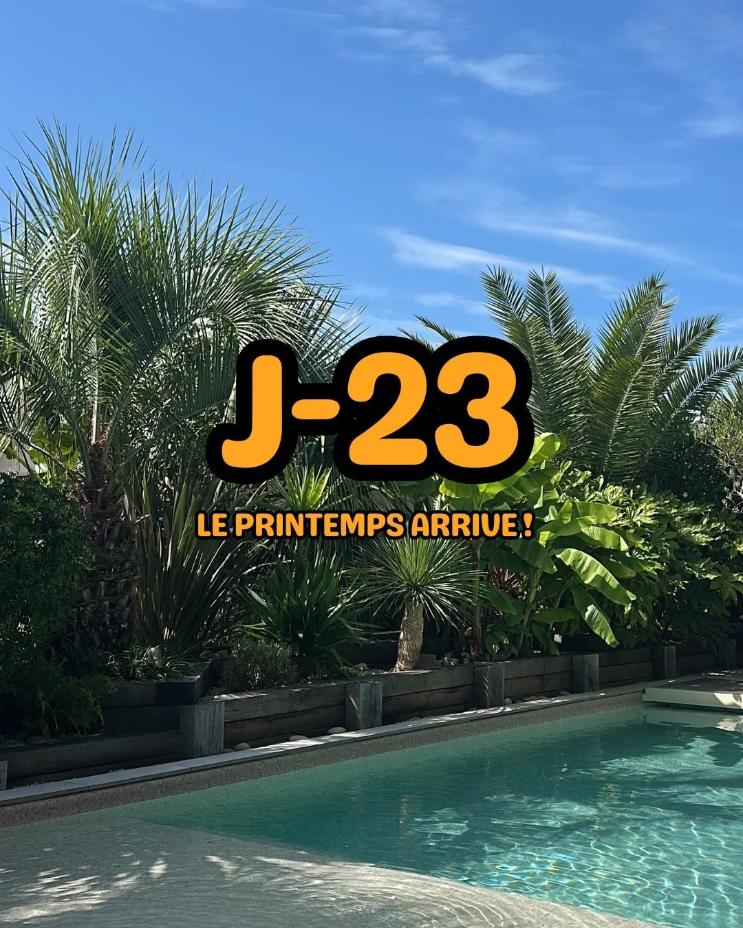 J-23 avant le printemps : reprise d&rsquo;activit&eacute; des papillons 🦋
Avec la hausse des temp&eacute;ratures, les premiers vols apparaissent.

P&eacute;riode des premiers traitements : avril &ndash; mai 🌴 

#paysandisiaarchon #charan&ccedil;on 