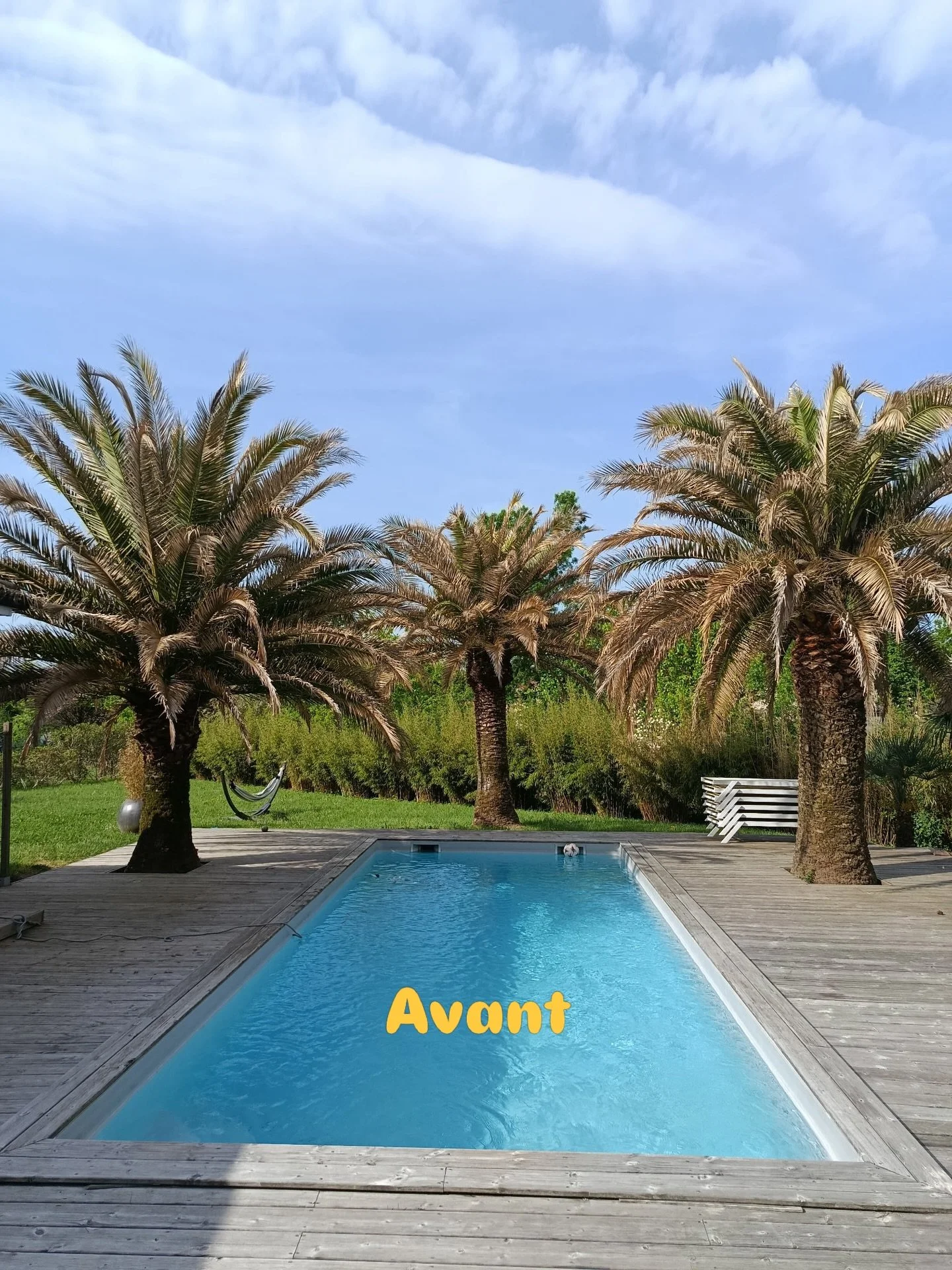 Des ph&oelig;nix pr&ecirc;ts pour l&rsquo;&eacute;t&eacute; 🌴
Traitement + taille du tronc = des palmiers en pleine sant&eacute;.

#palmiers #amenagementpaysager #phoenix