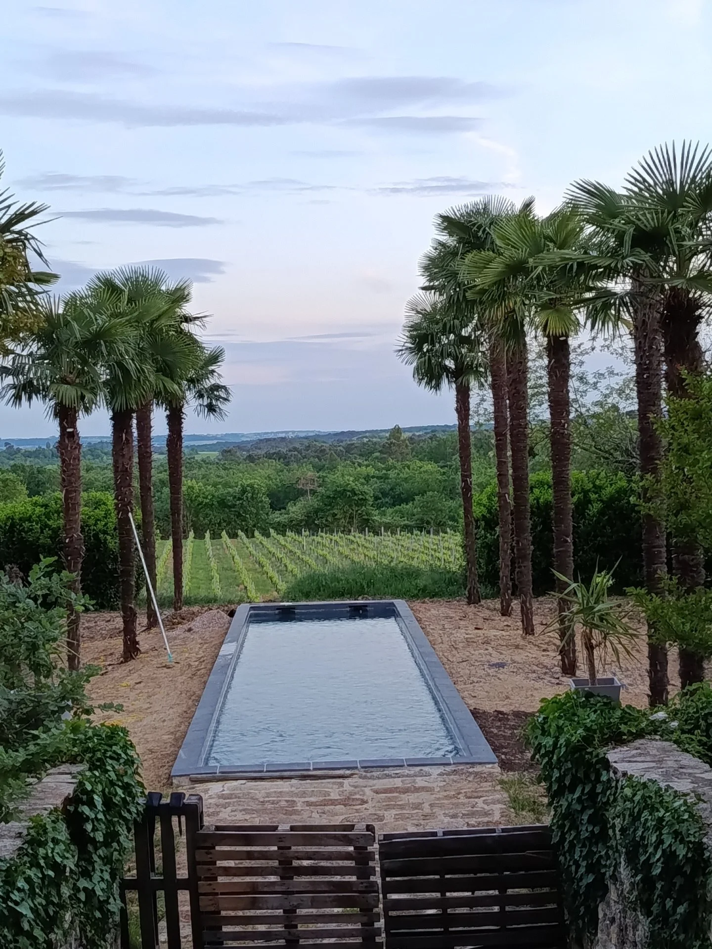 Taille et soin du magnifique jardin du Ch&acirc;teau @mauperier 🌿

Ce parc d&rsquo;exception abrite 26 superbes trachycarpus fortunei, de 6 &agrave; 11 m de haut v&eacute;ritables signatures v&eacute;g&eacute;tales qui donnent toute son &acirc;me au