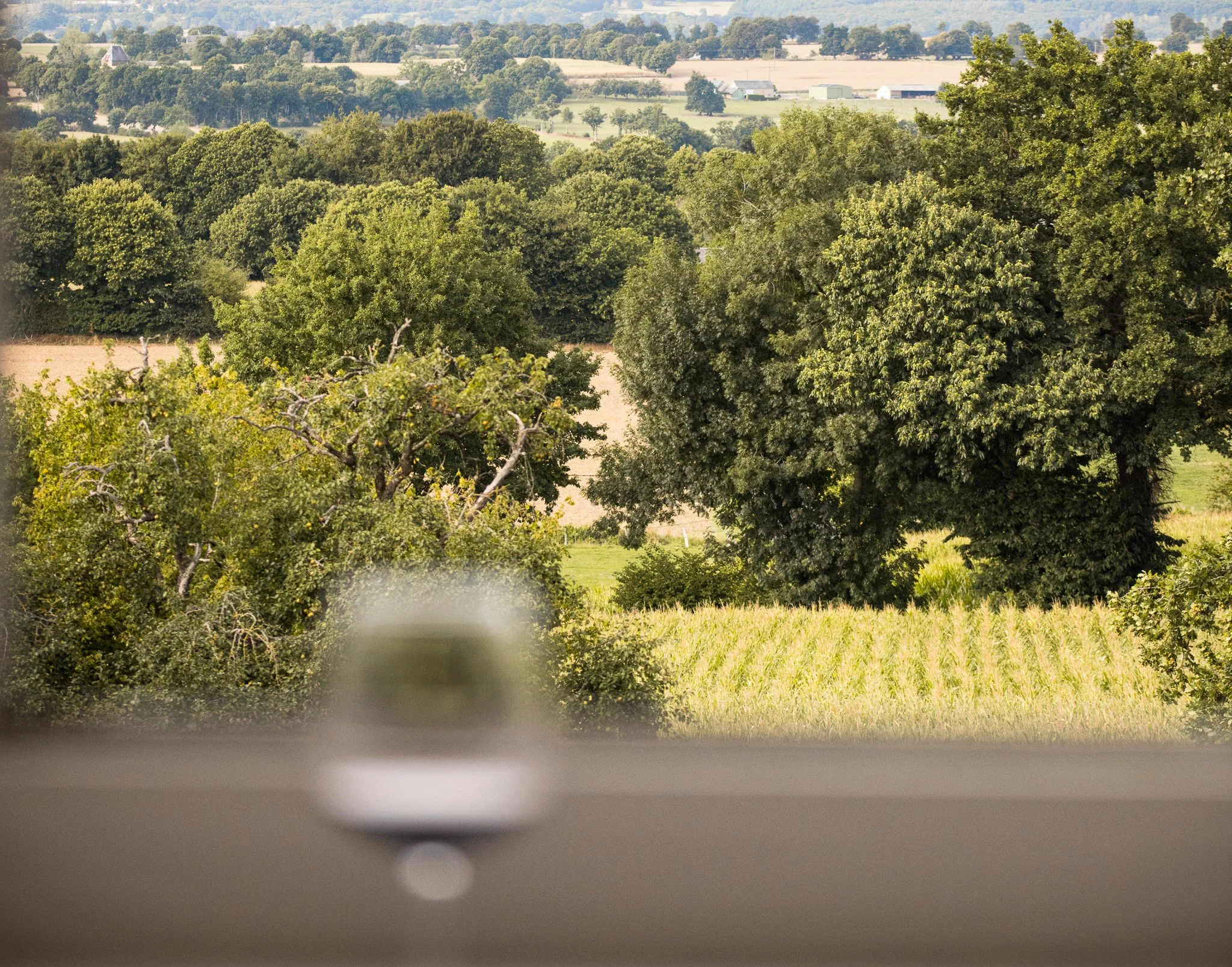 A view of lush green trees and farmland through a window with a blurred object in the foreground.