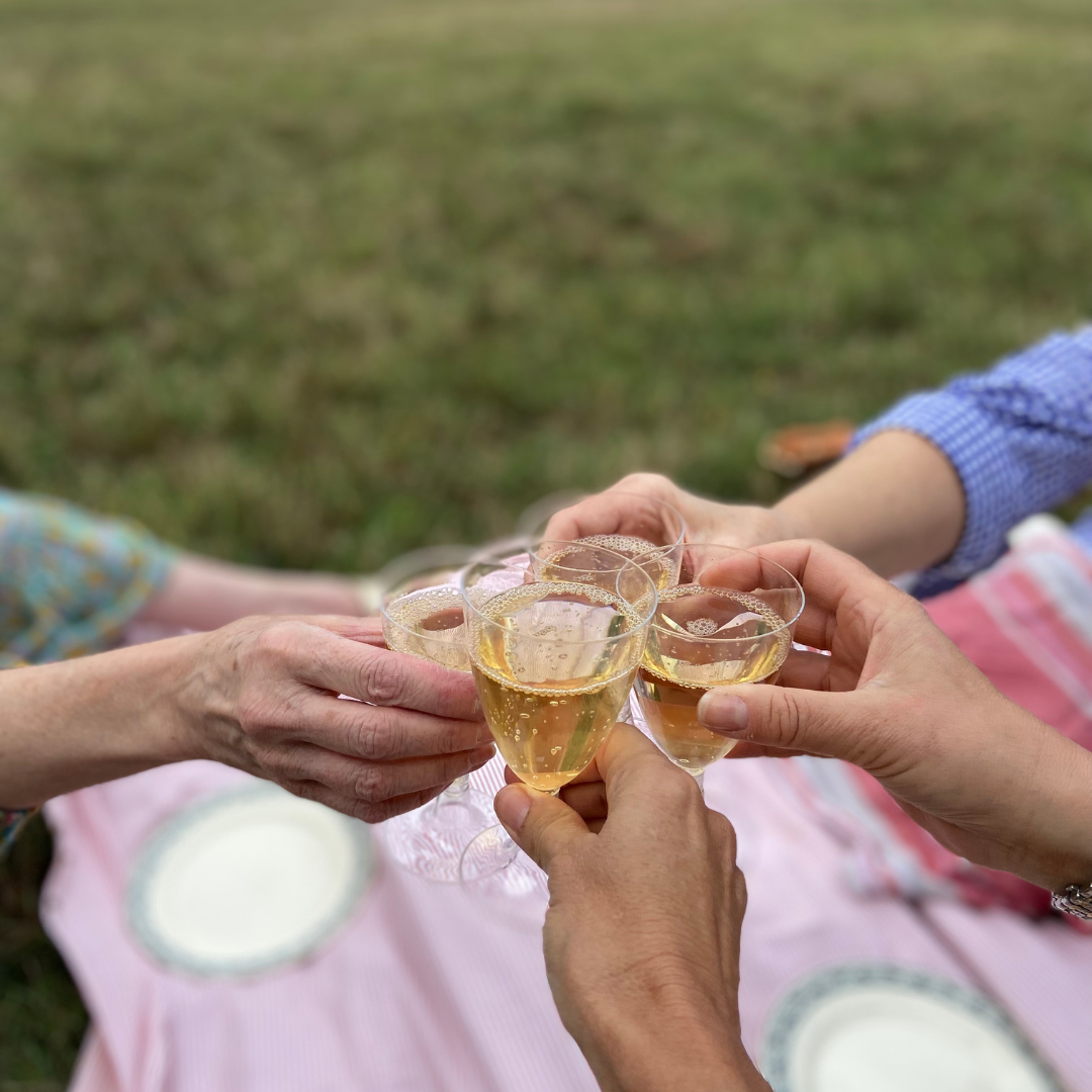 People clinking glasses of champagne during an outdoor picnic on a pink blanket.