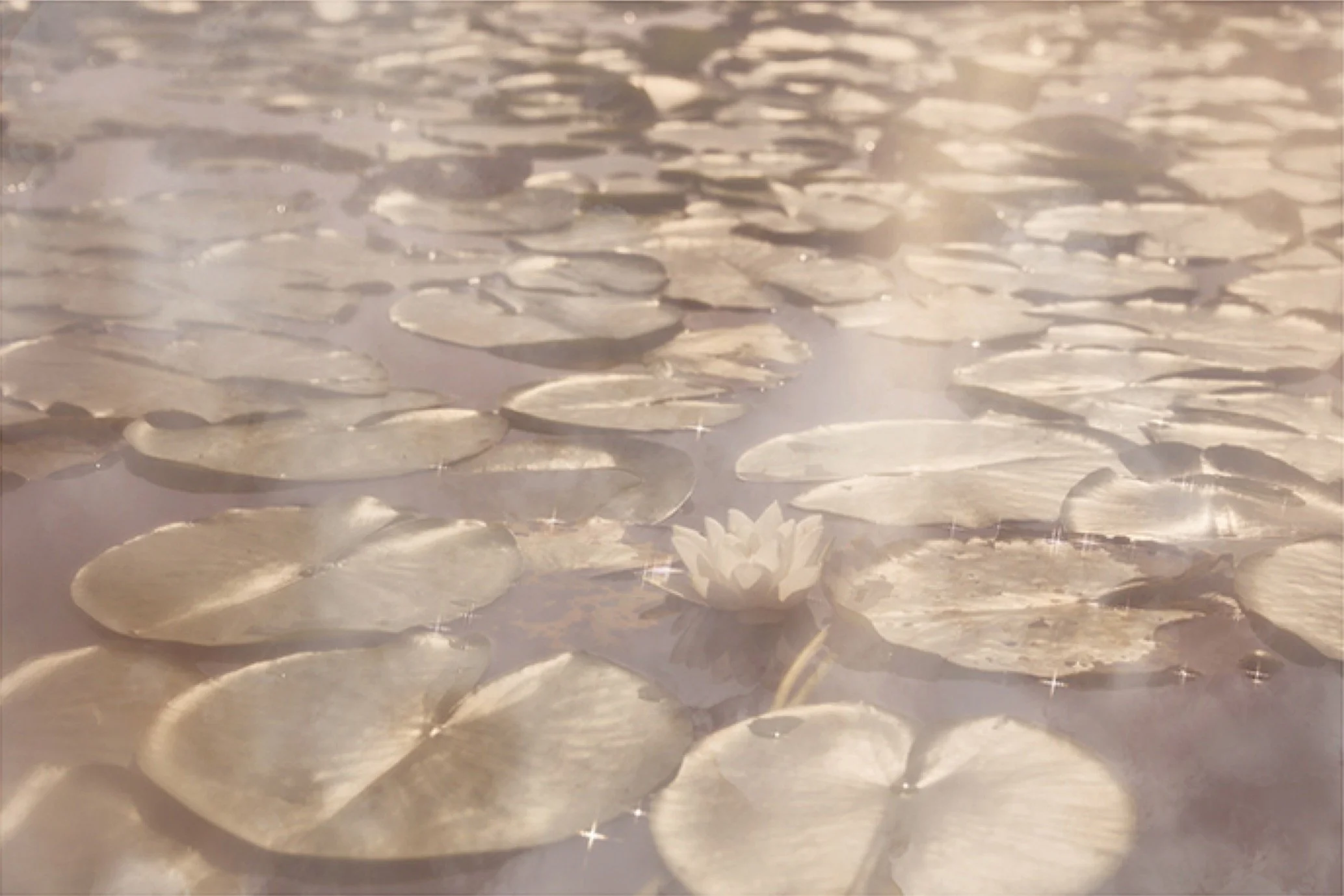 Floating Life-1 (trukket).jpg